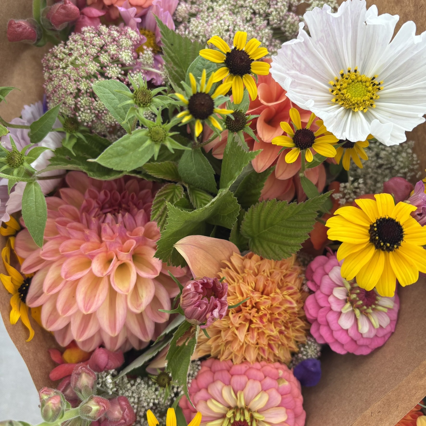 IMG_5411.JPEG (Copy)