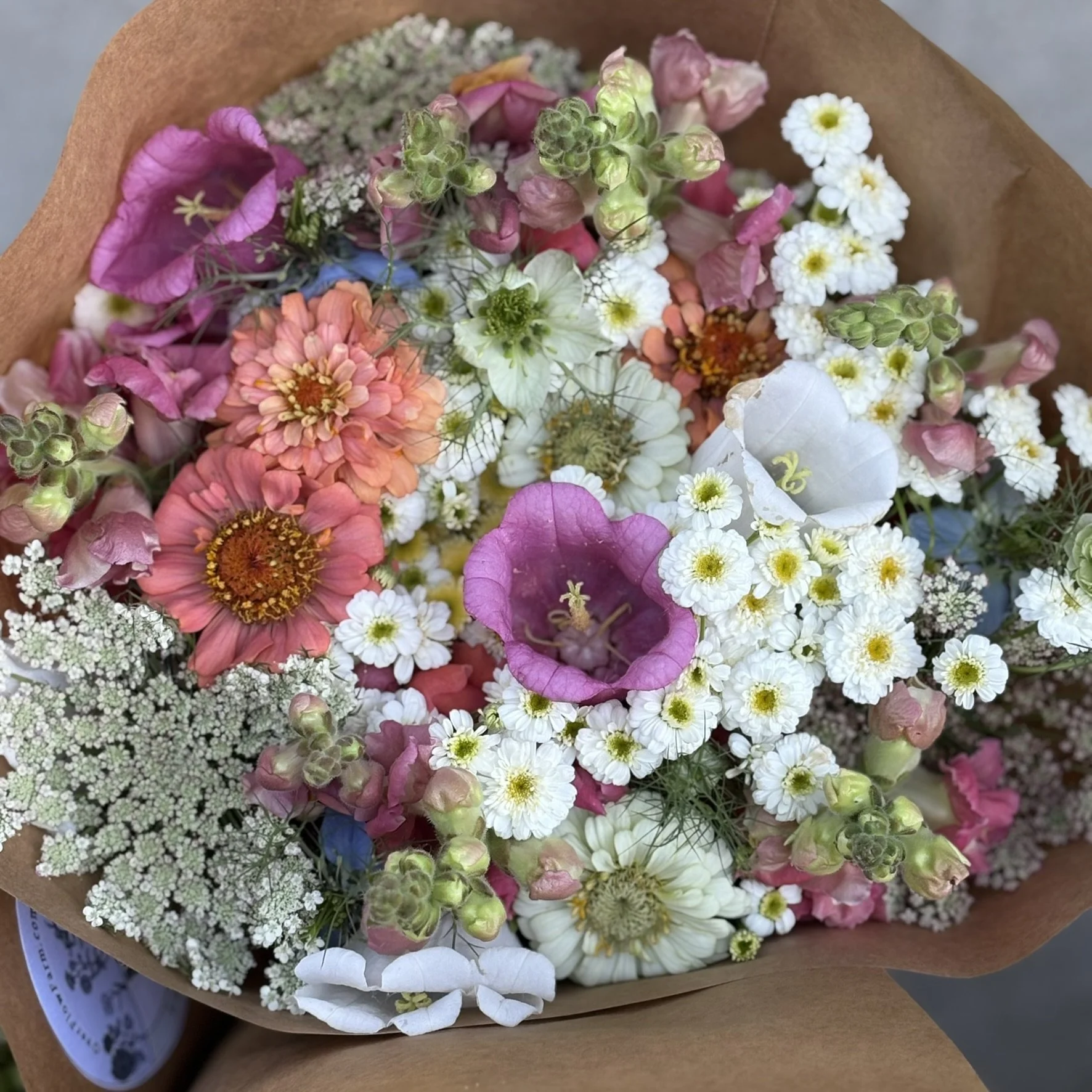 IMG_4927.JPEG (Copy)