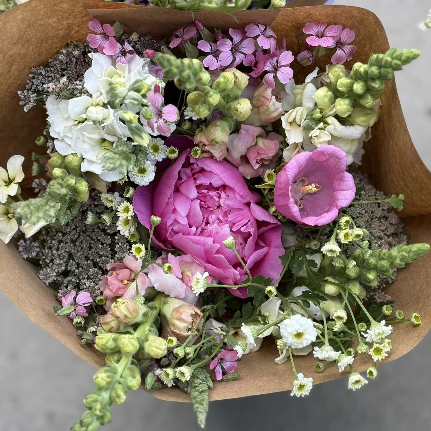 IMG_4471.JPEG (Copy)