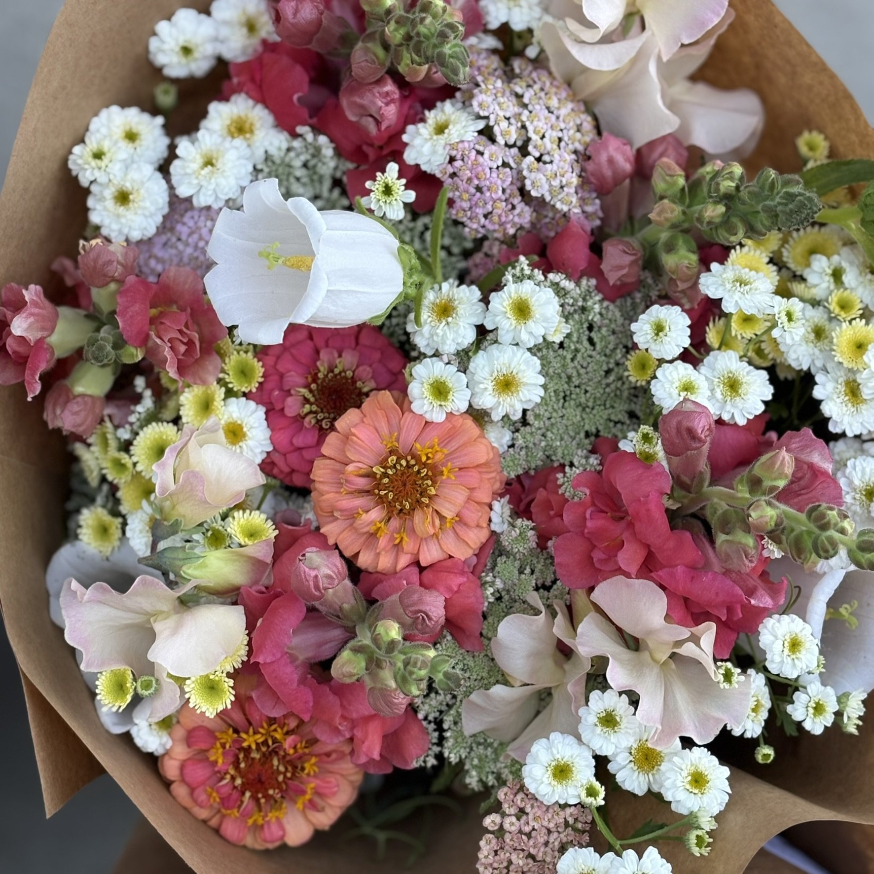 IMG_4926.JPEG (Copy)