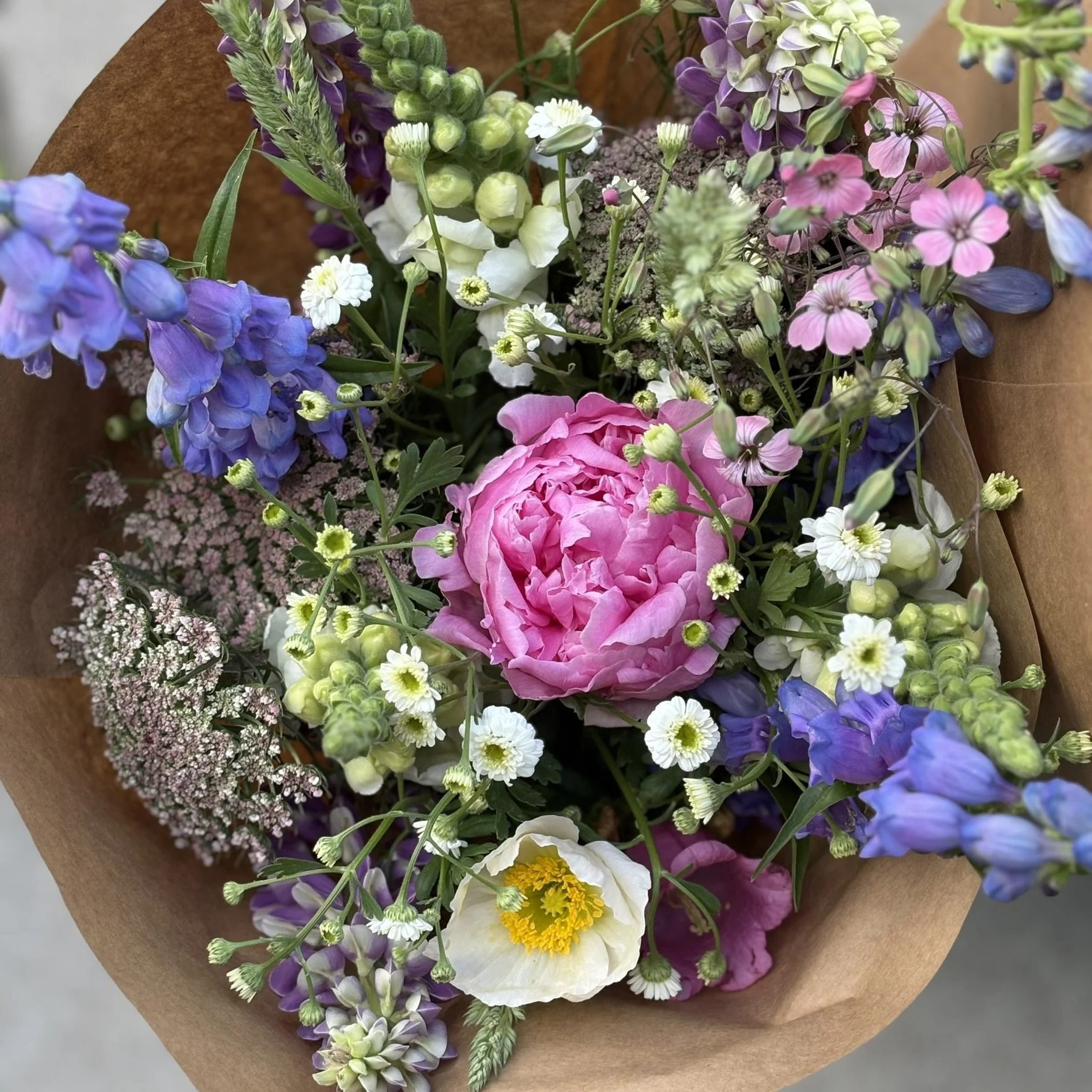 IMG_4470.JPEG (Copy)