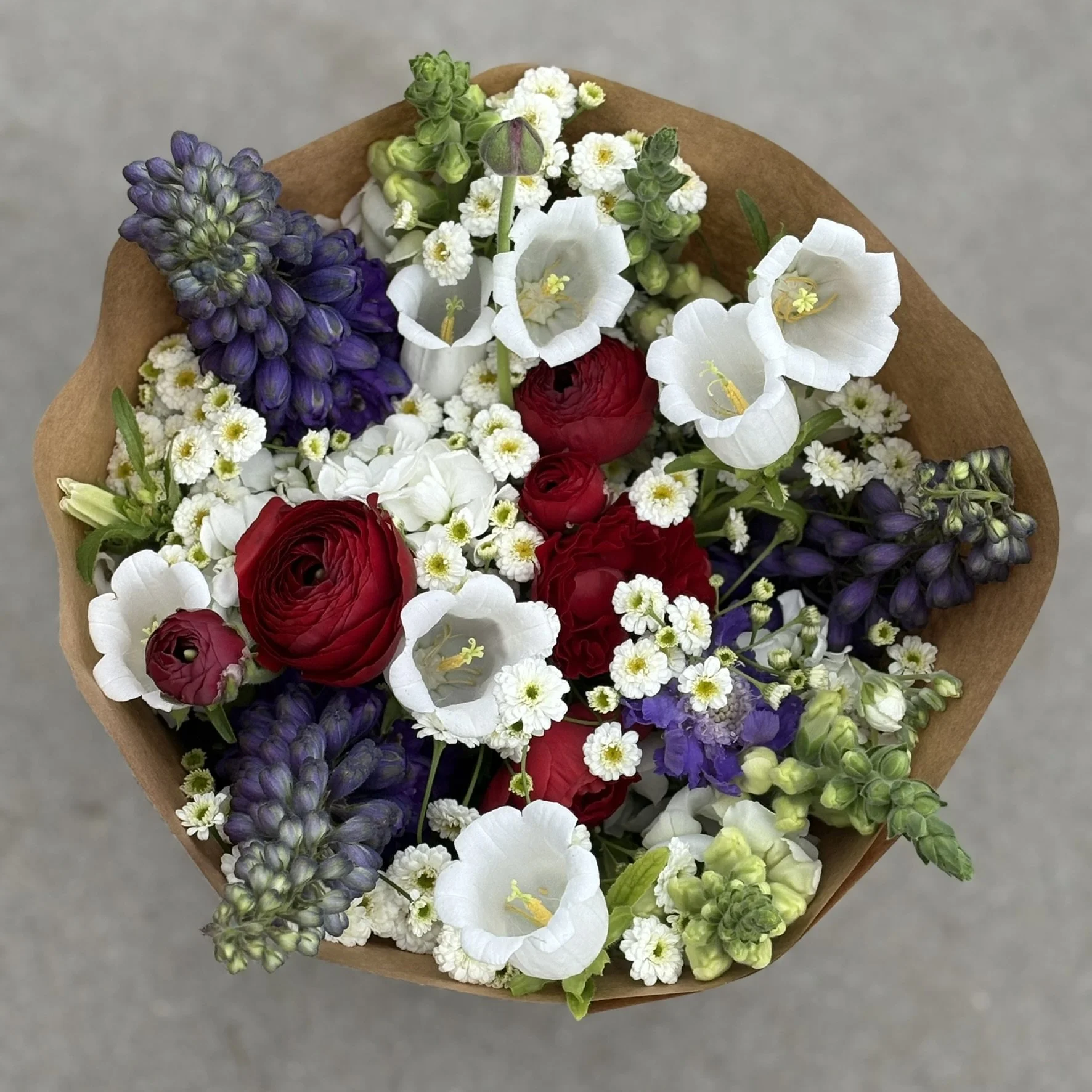 IMG_4837.JPEG (Copy)