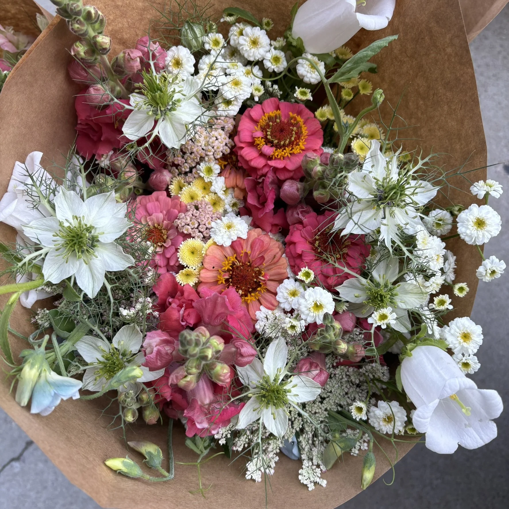 IMG_4913.JPEG (Copy)