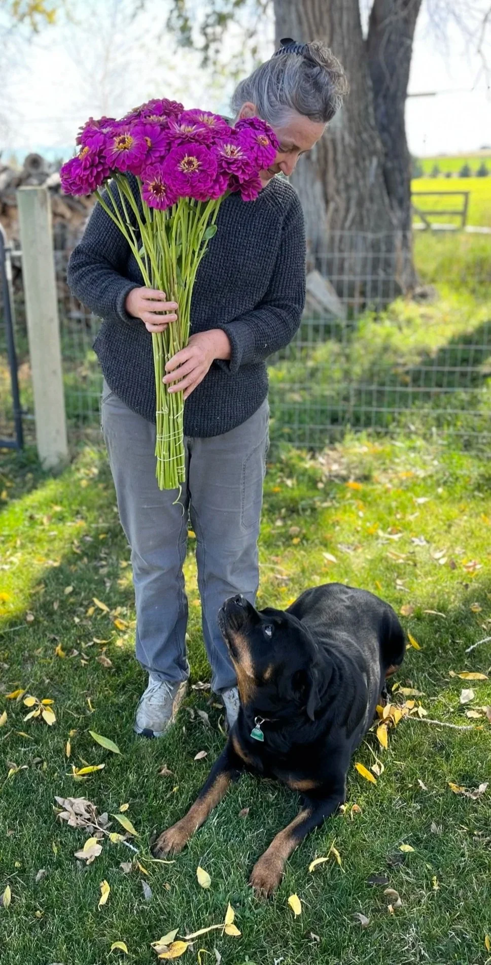 A woman holding a large bouquet of pink flowers while a black and tan dog looks up at her on a grassy yard with fall leaves.