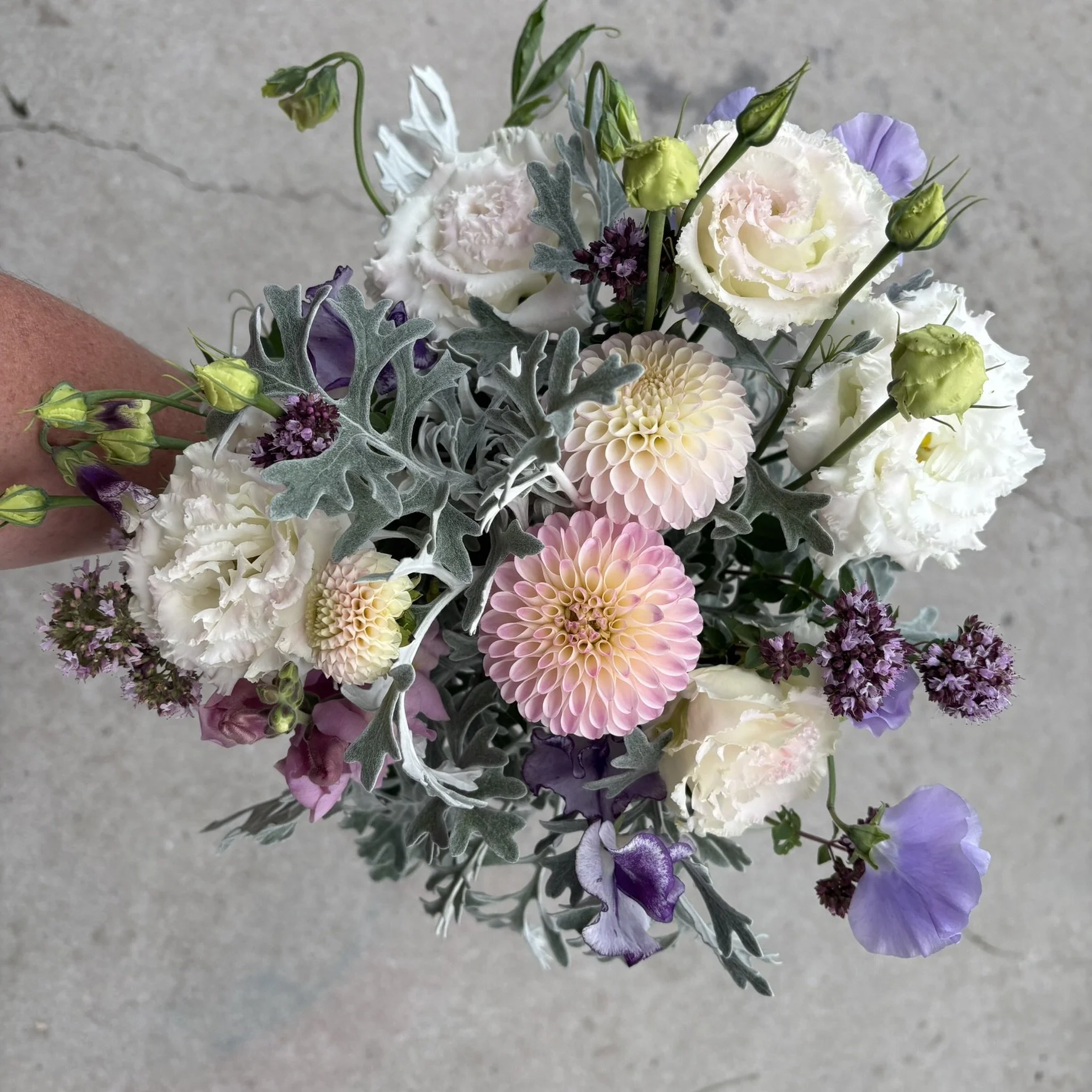 IMG_5959.JPEG (Copy)