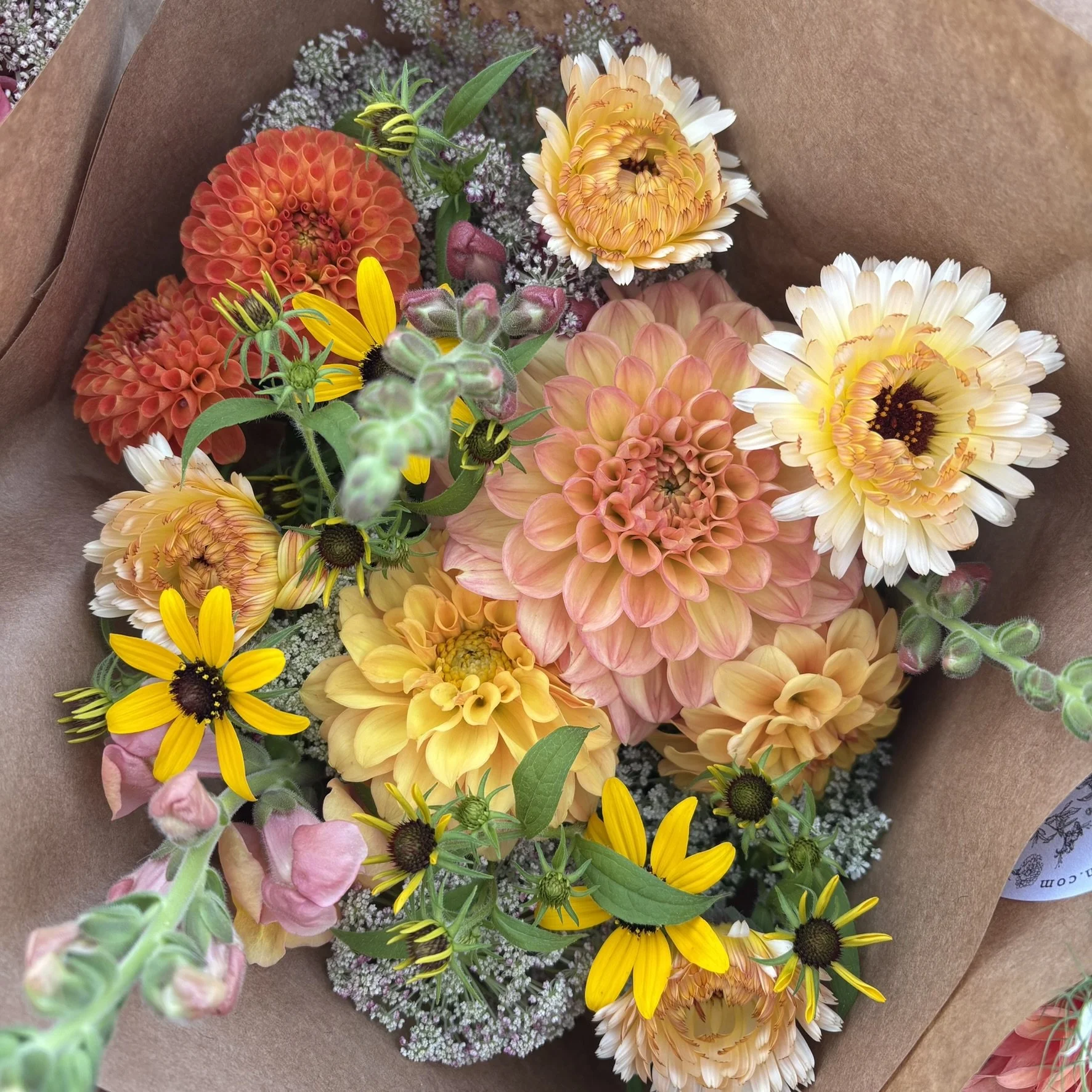 IMG_5410.JPEG (Copy)