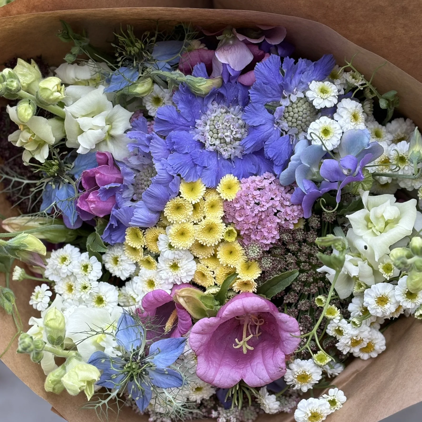 IMG_4921.JPEG (Copy)