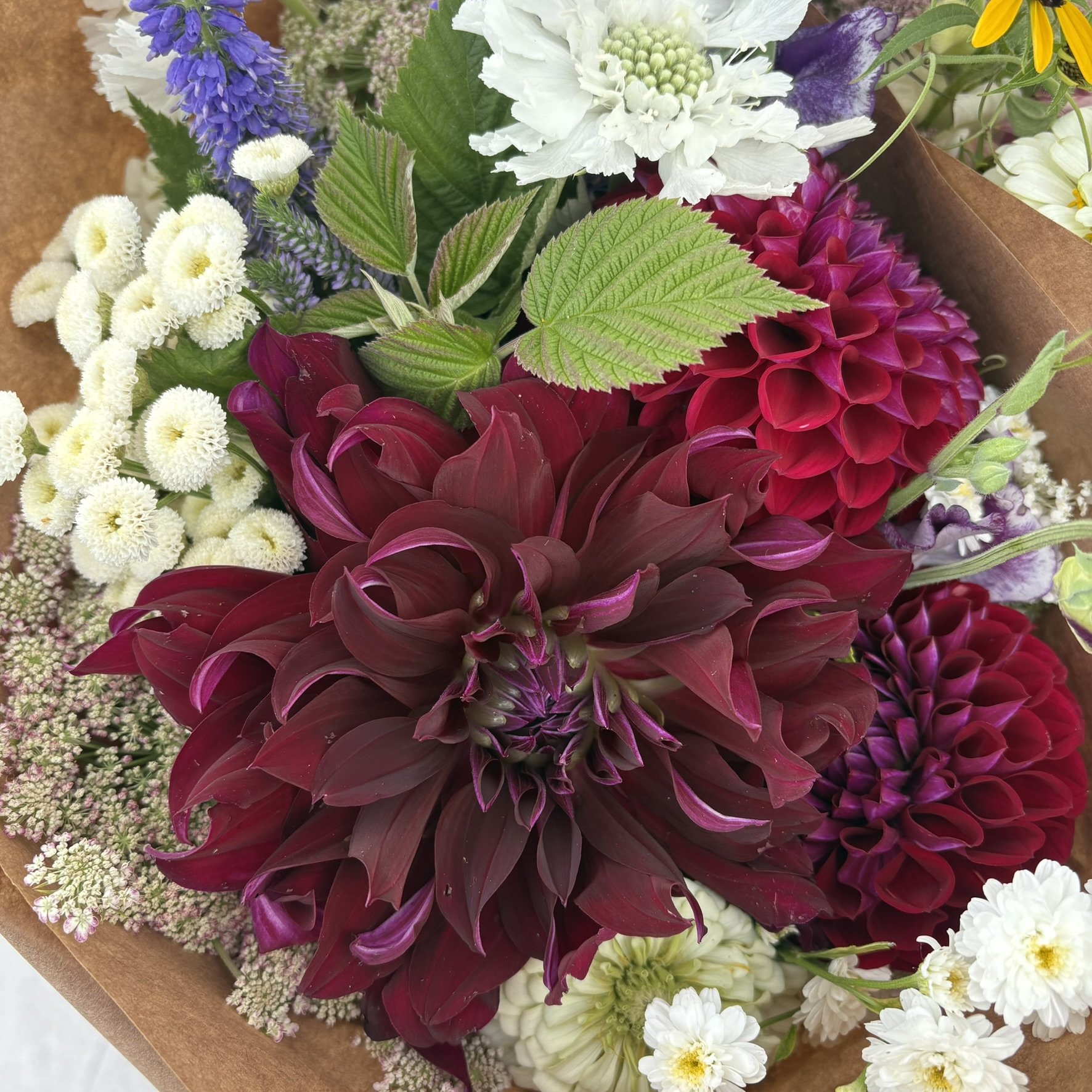 IMG_5414.JPEG (Copy)