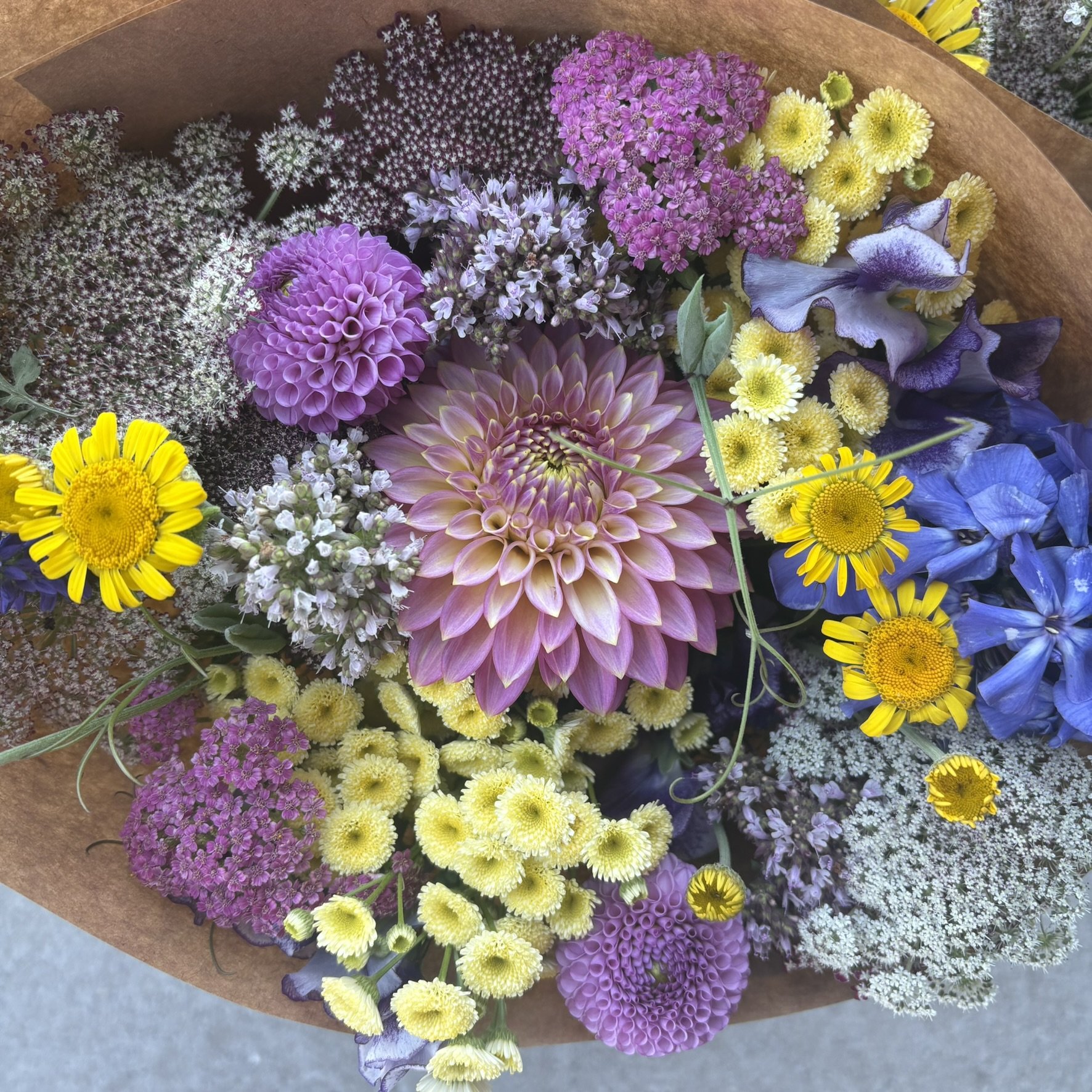 IMG_5162.JPEG (Copy)