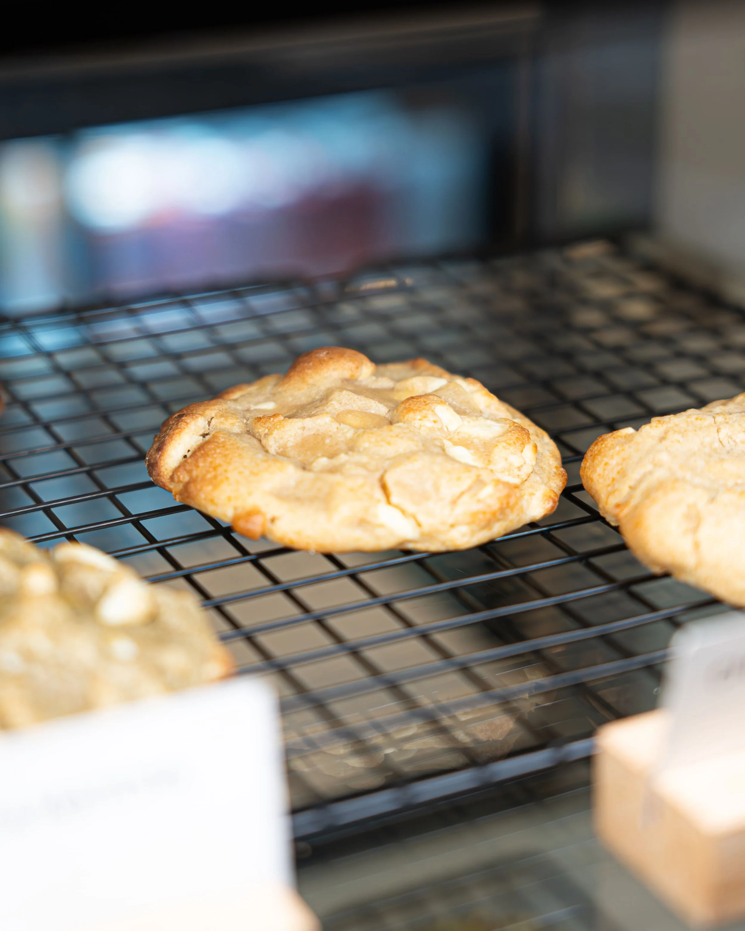 Photographie culinaire restaurant Cactus5.jpg