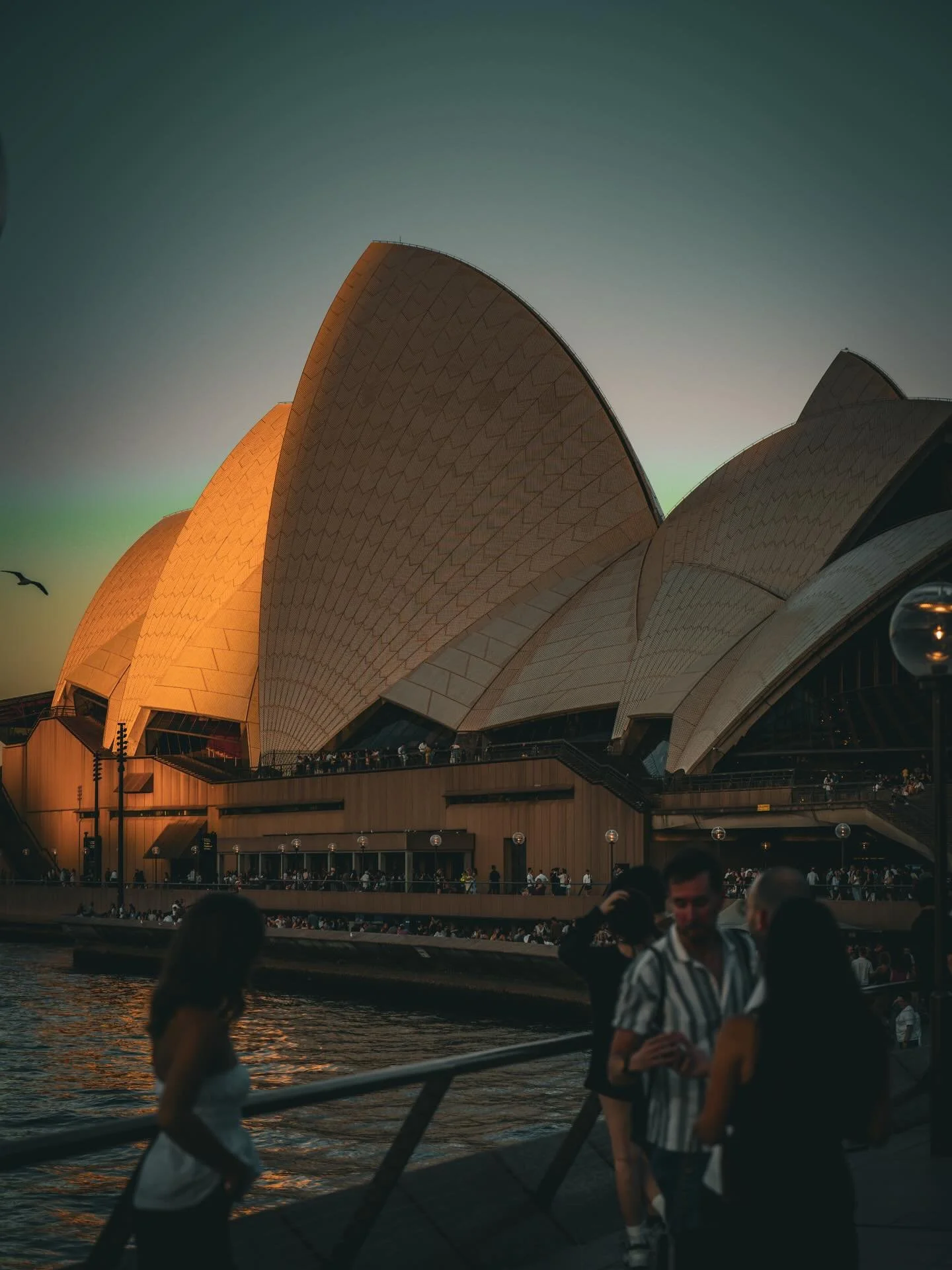 A bit late but here is some pics from Sydney