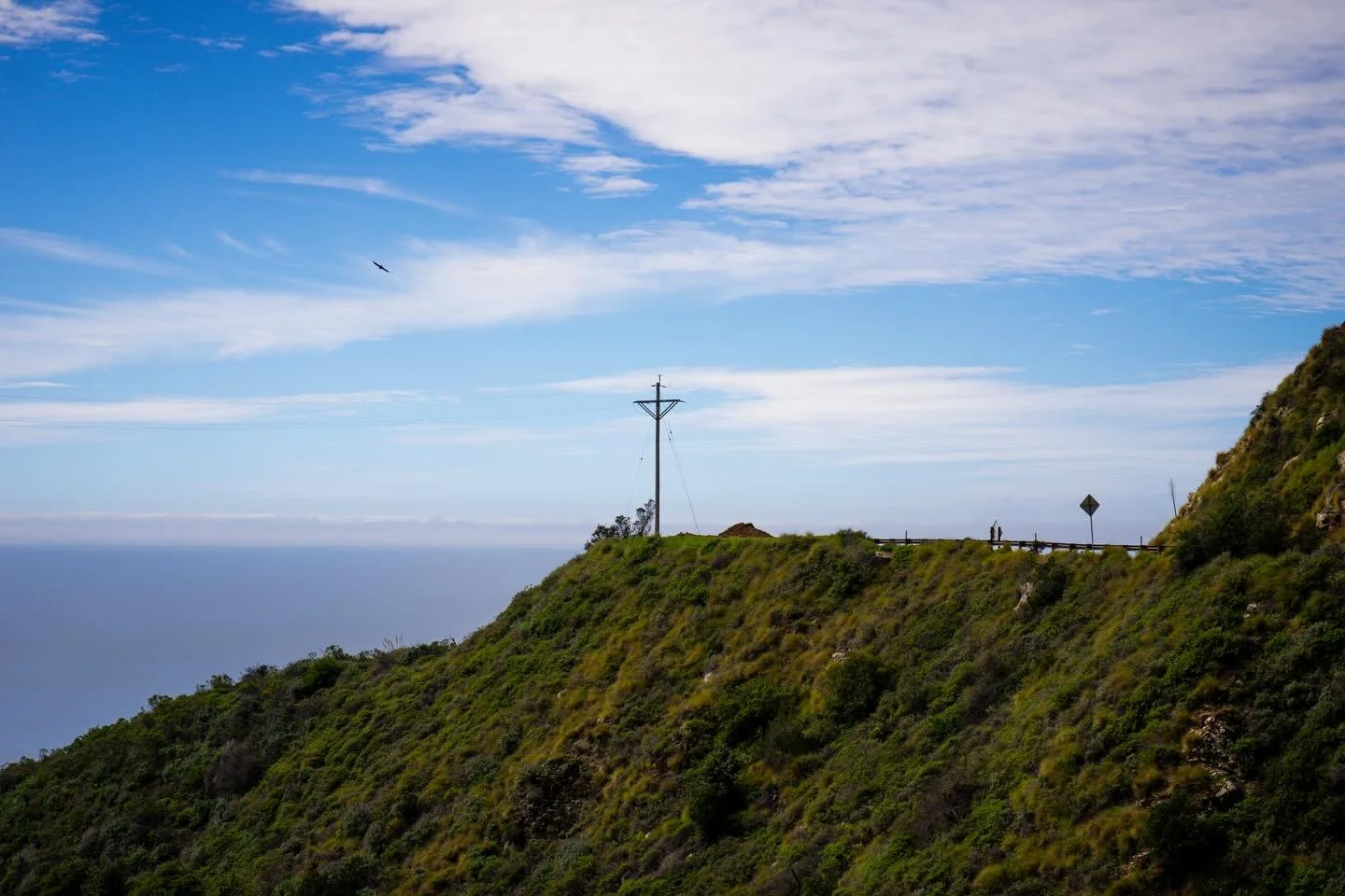 Drive to Big Sur with Theo