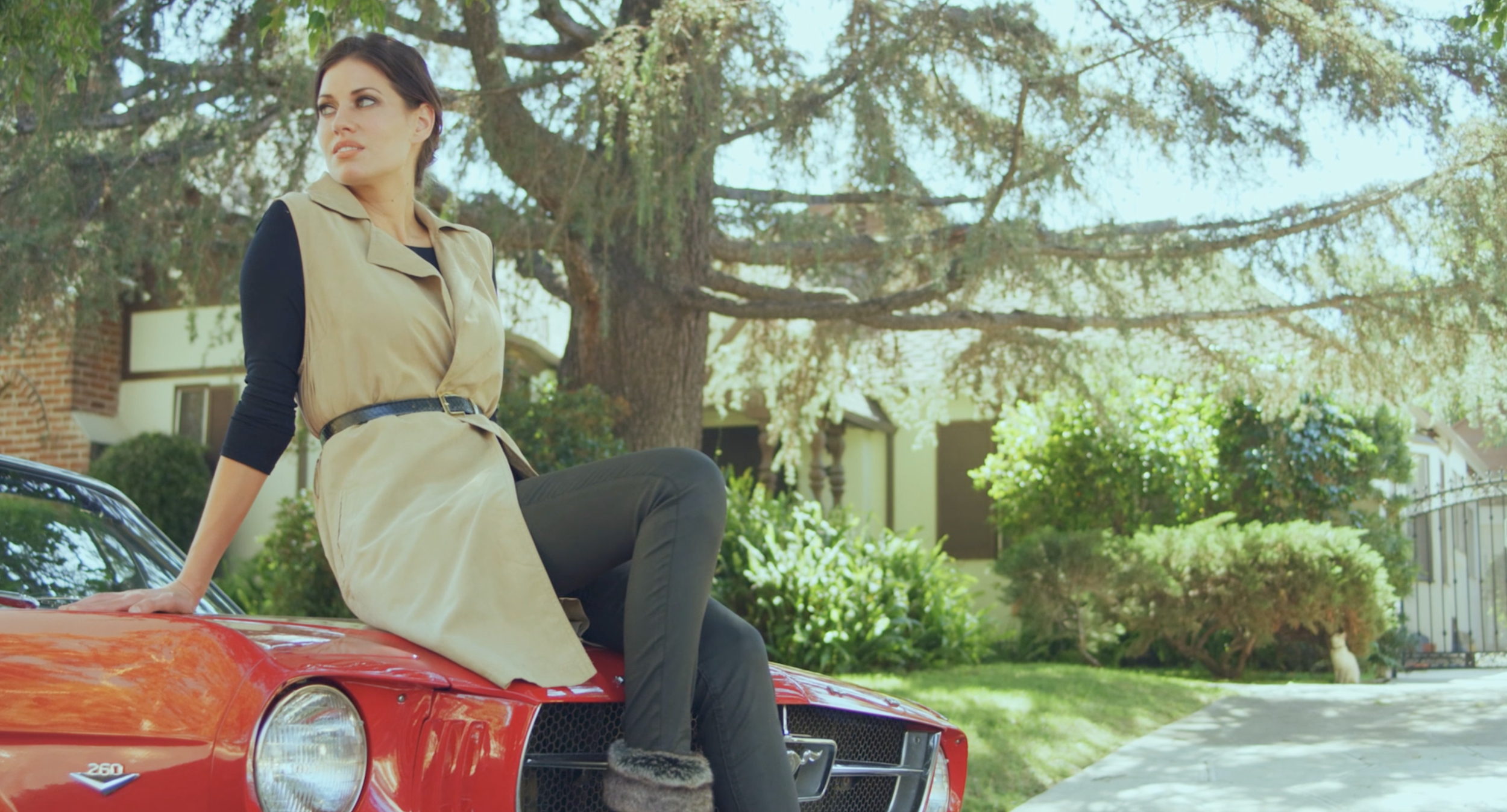 Related Video Item Thumbnail