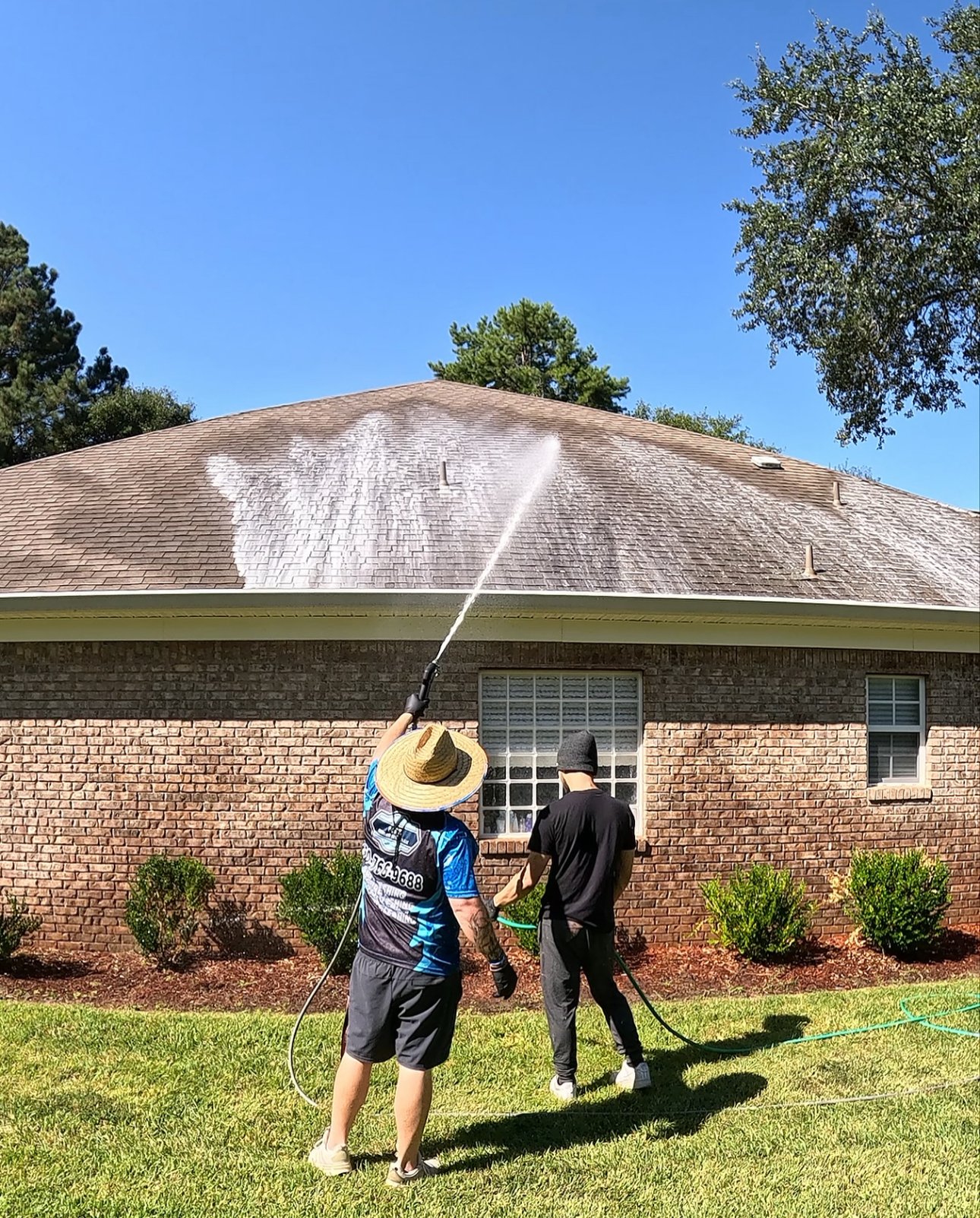 window cleaning and roof softwashing