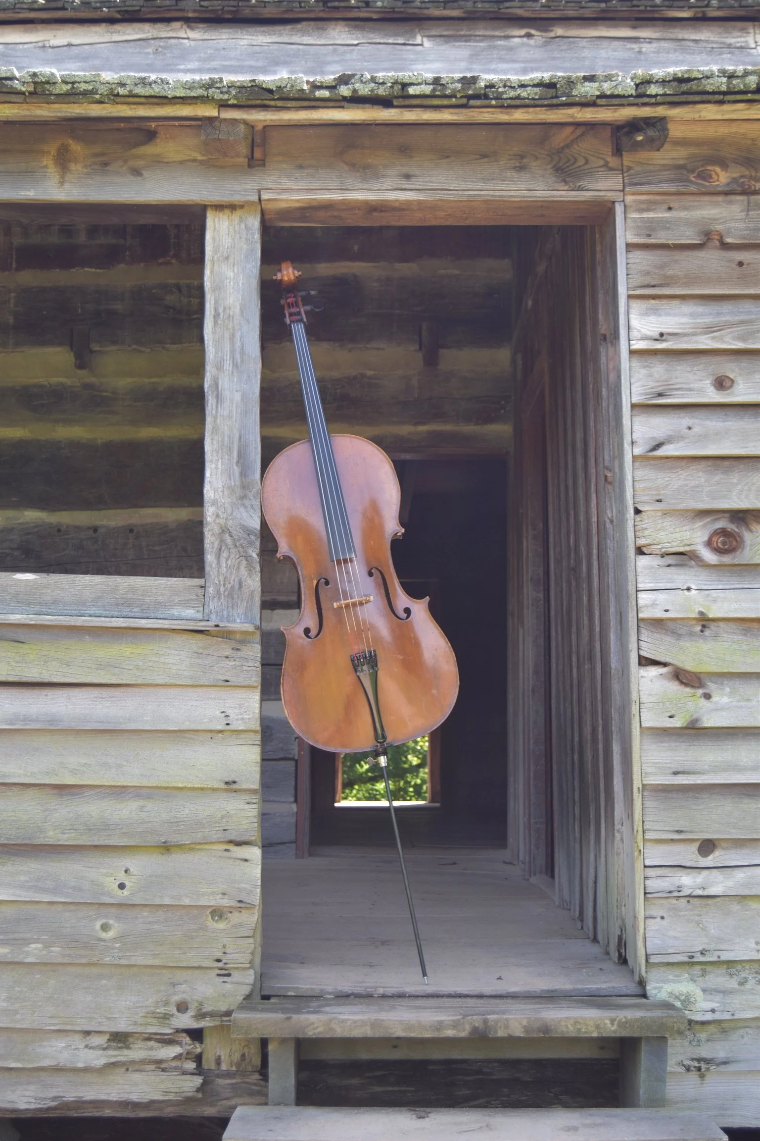 A cello standing inside an old, weathered wooden doorway.