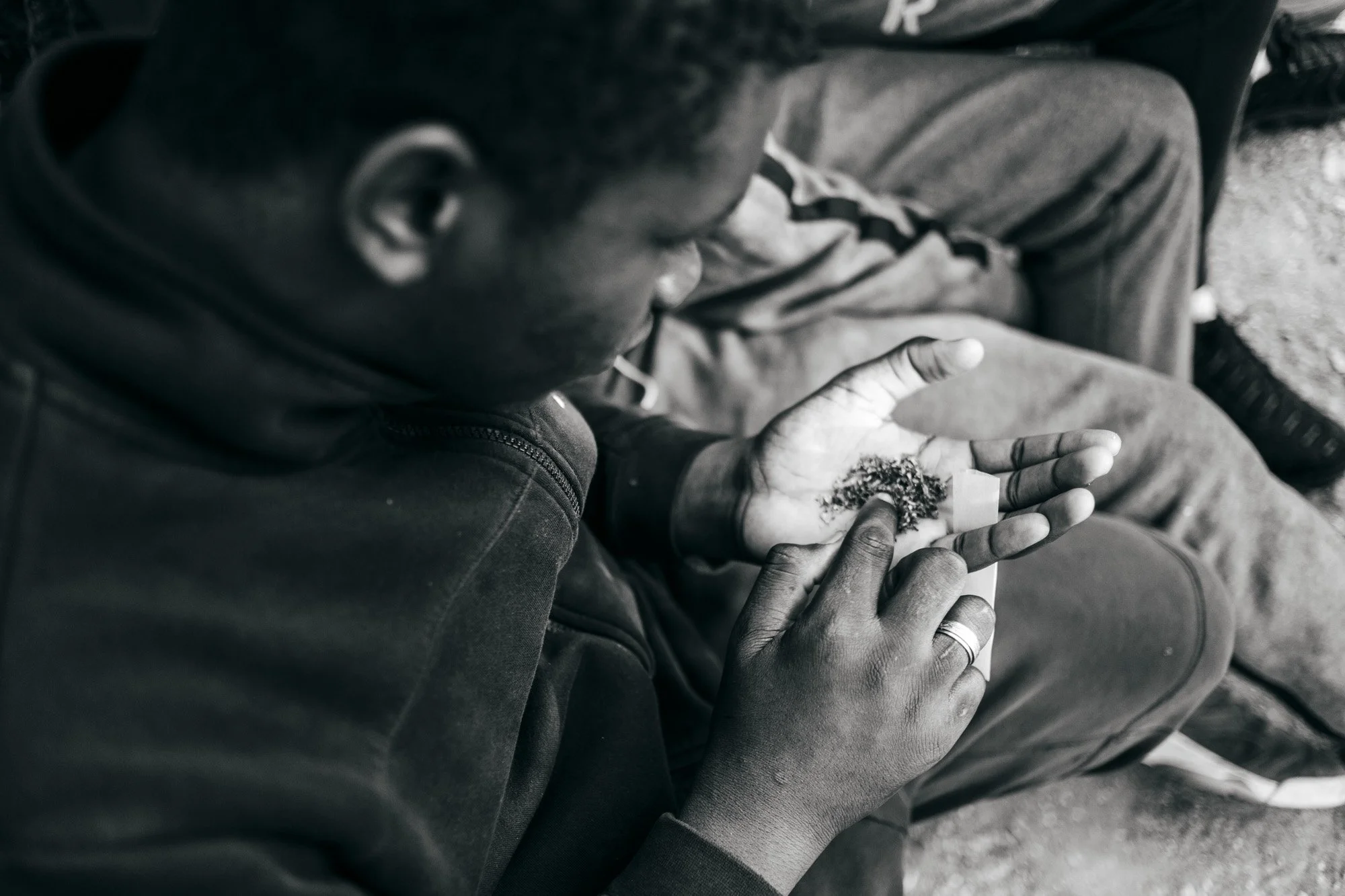 Person examining a pine cone in their hands.