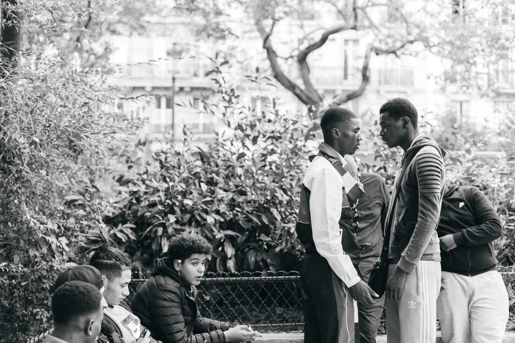 Six young men in a park, with two standing face to face, holding hands, and four sitting on a bench watching.