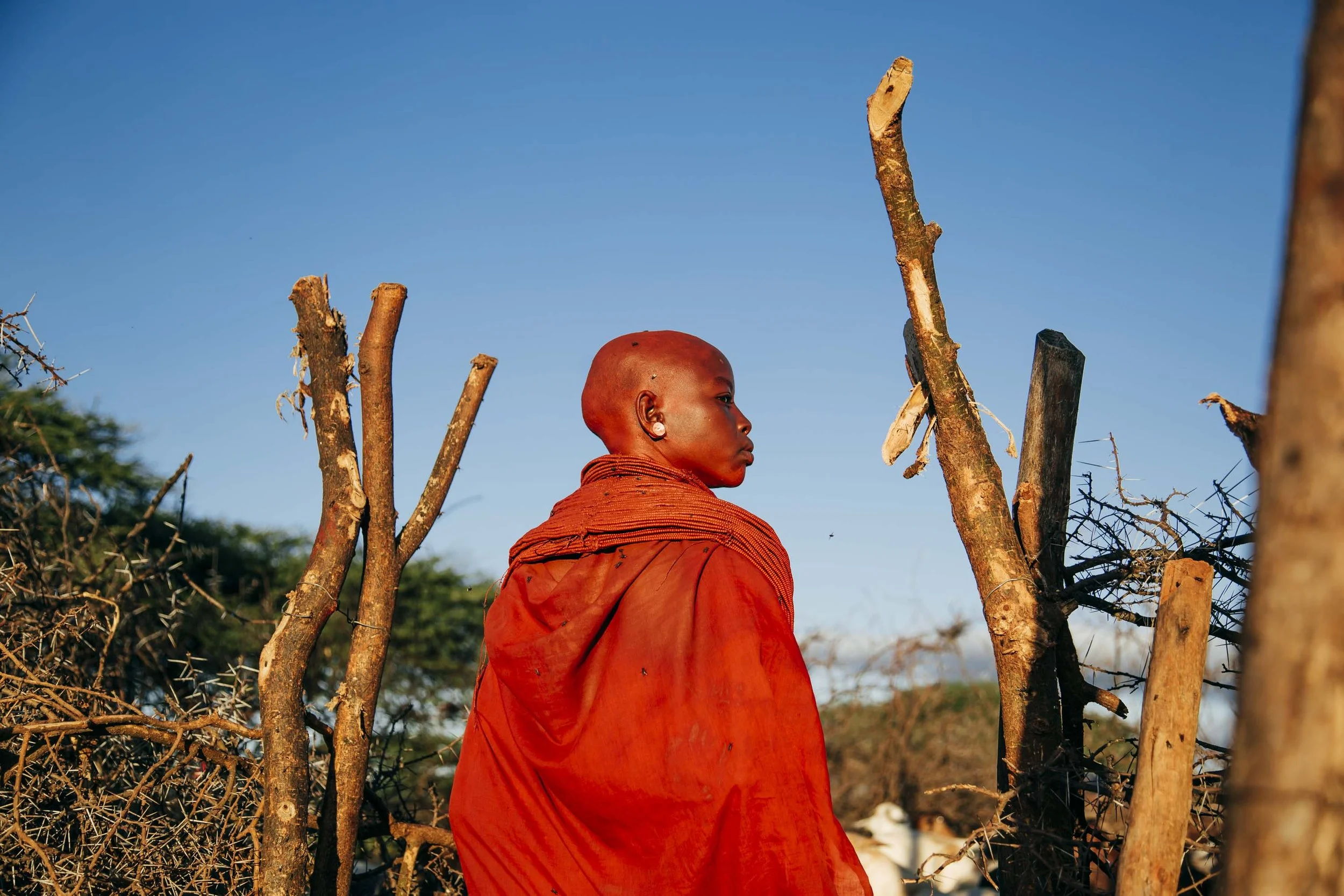 A young girl dressed in a traditional orange garment stands outdoors between wooden posts and dried branches, looking to the side against a clear blue sky.