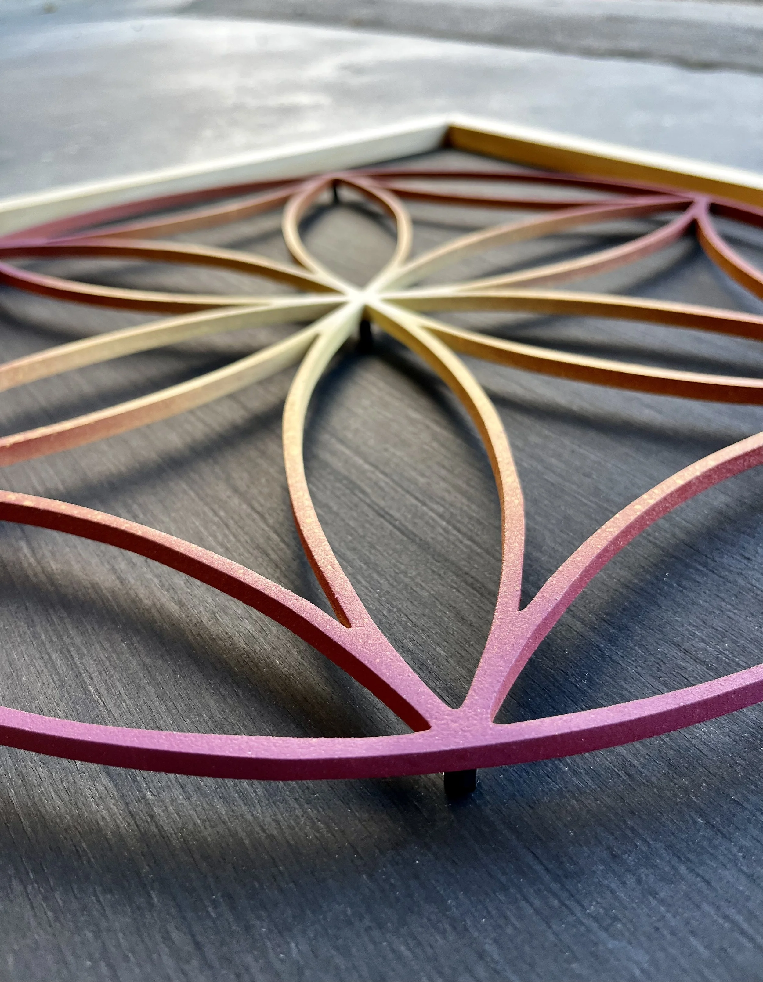 2024 - Morning Sun 2.jpeg