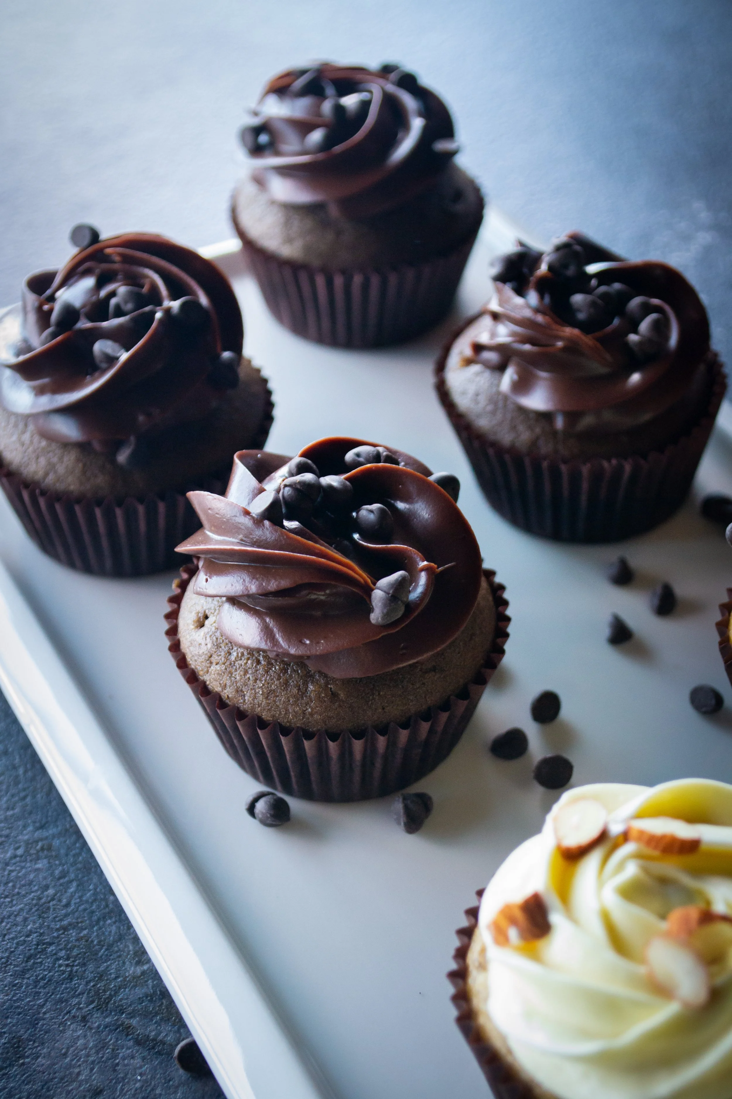 Six chocolate cupcakes with chocolate frosting and chocolate chips on a white rectangular platter.