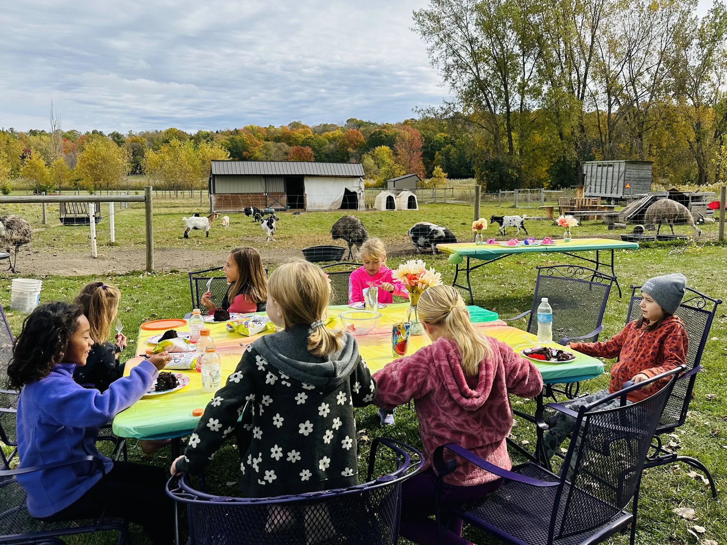 Children sitting at a colorful outdoor table eating cake during a birthday party on a farm with animals in the background.