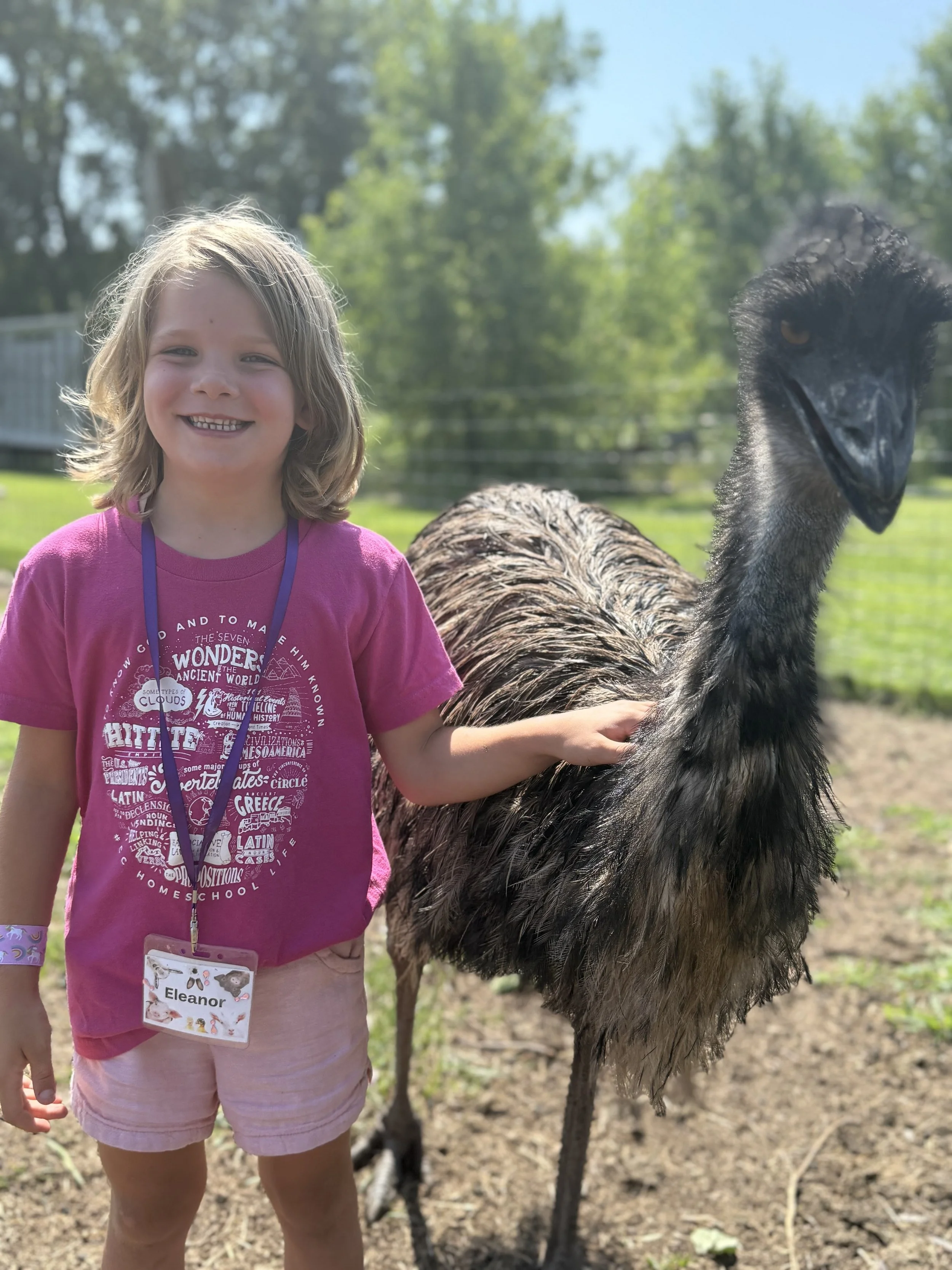 Camp Week 2 - AGES 4-6 * July 6-10 * 9am-12pm