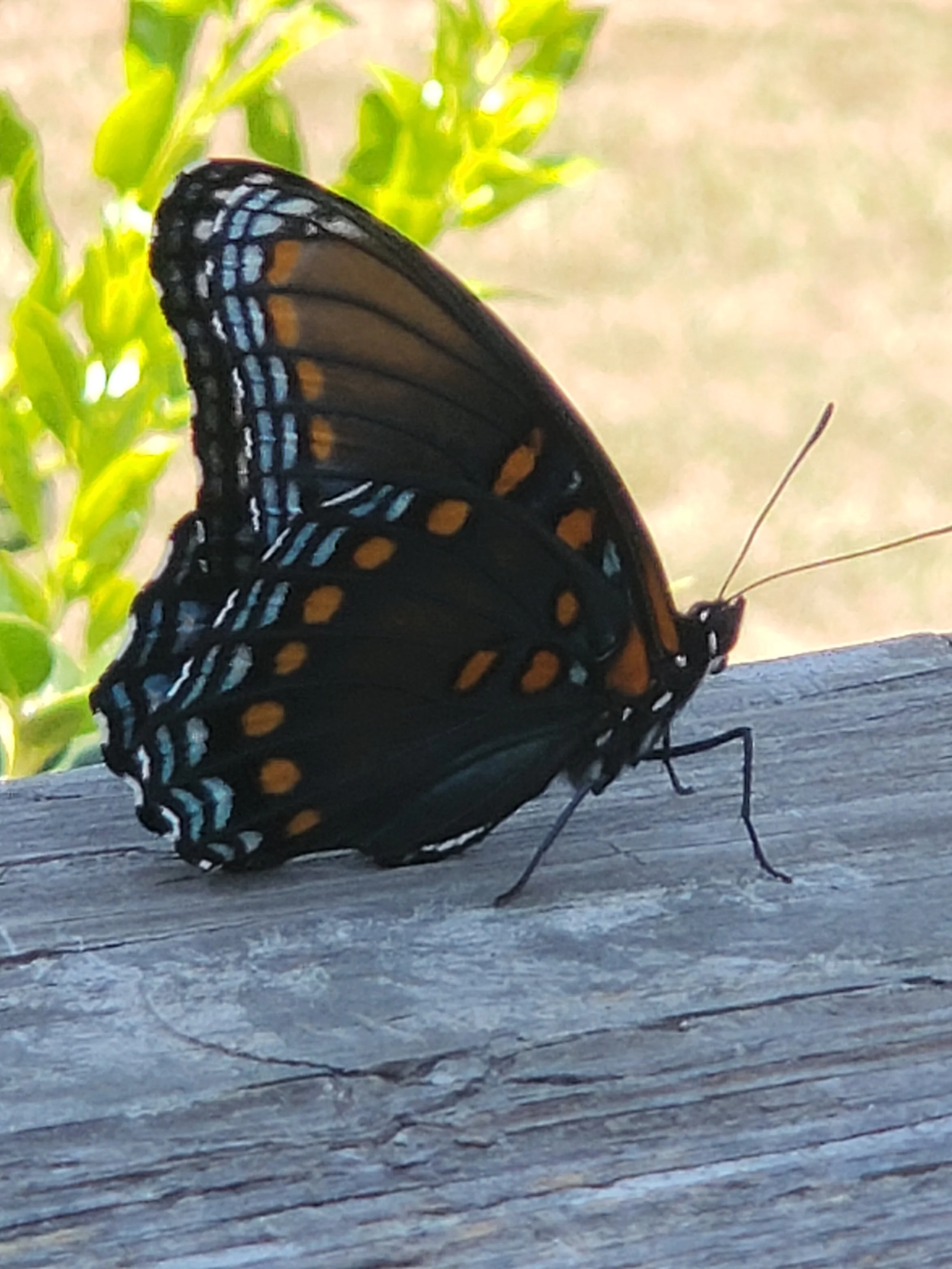 The Hall of Memories