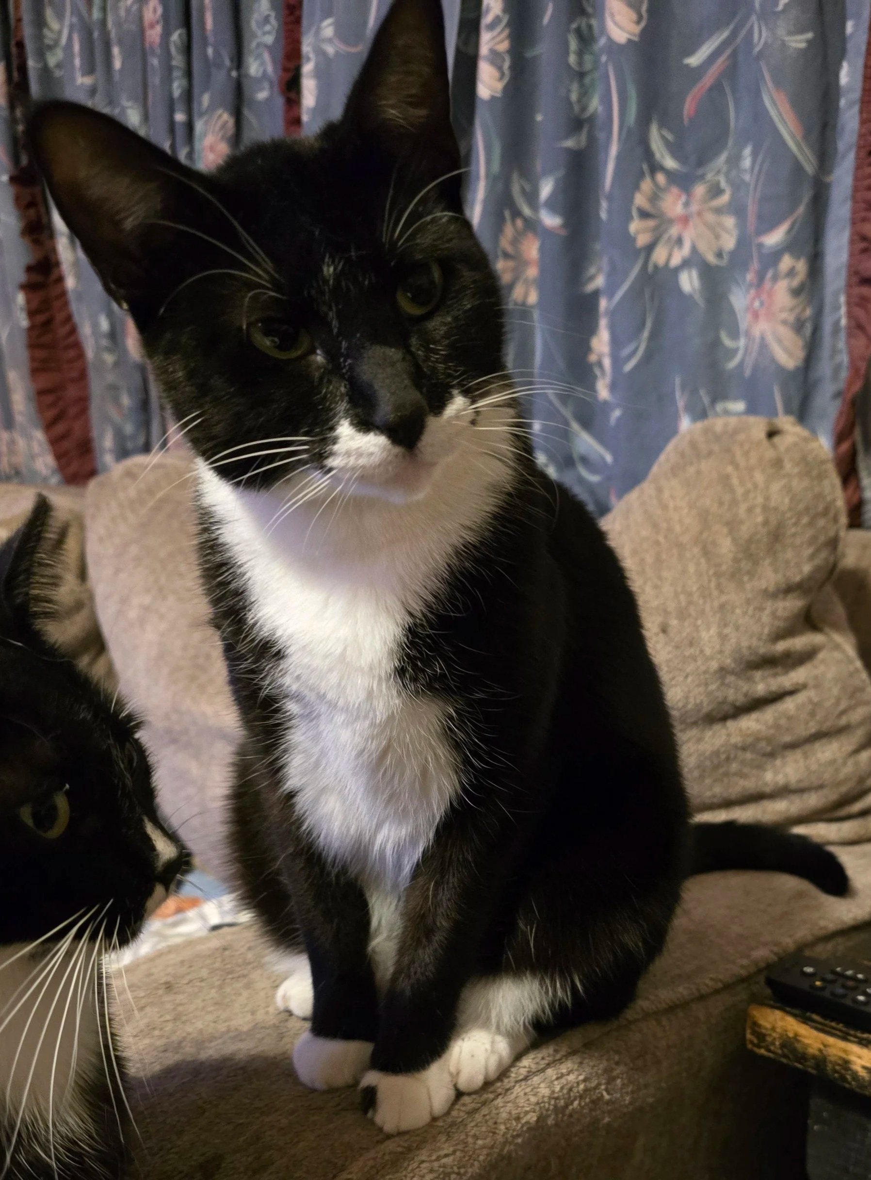 Bam’s Big Book of Betrayals