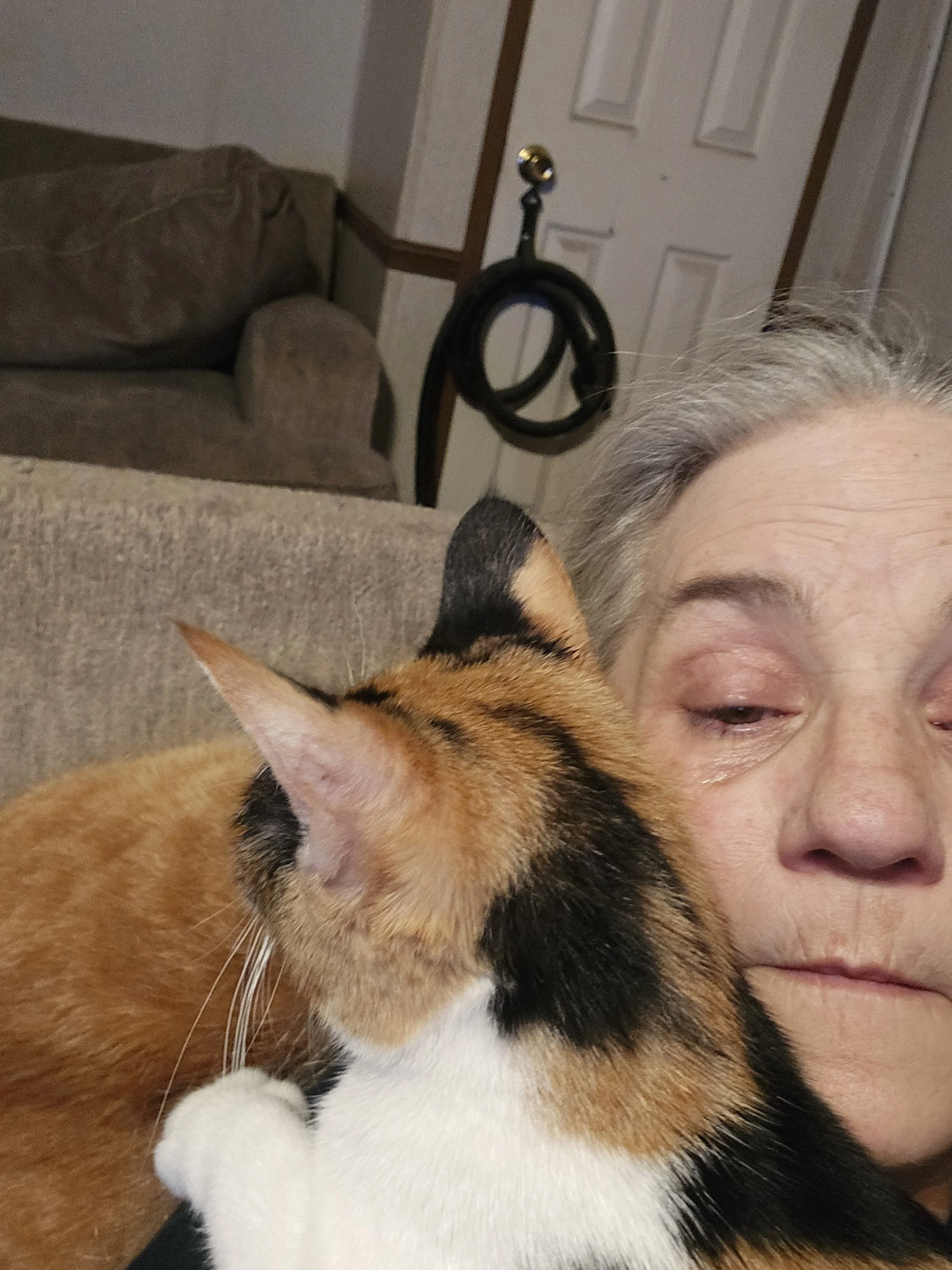 The Hearth‑Mother’s Notes