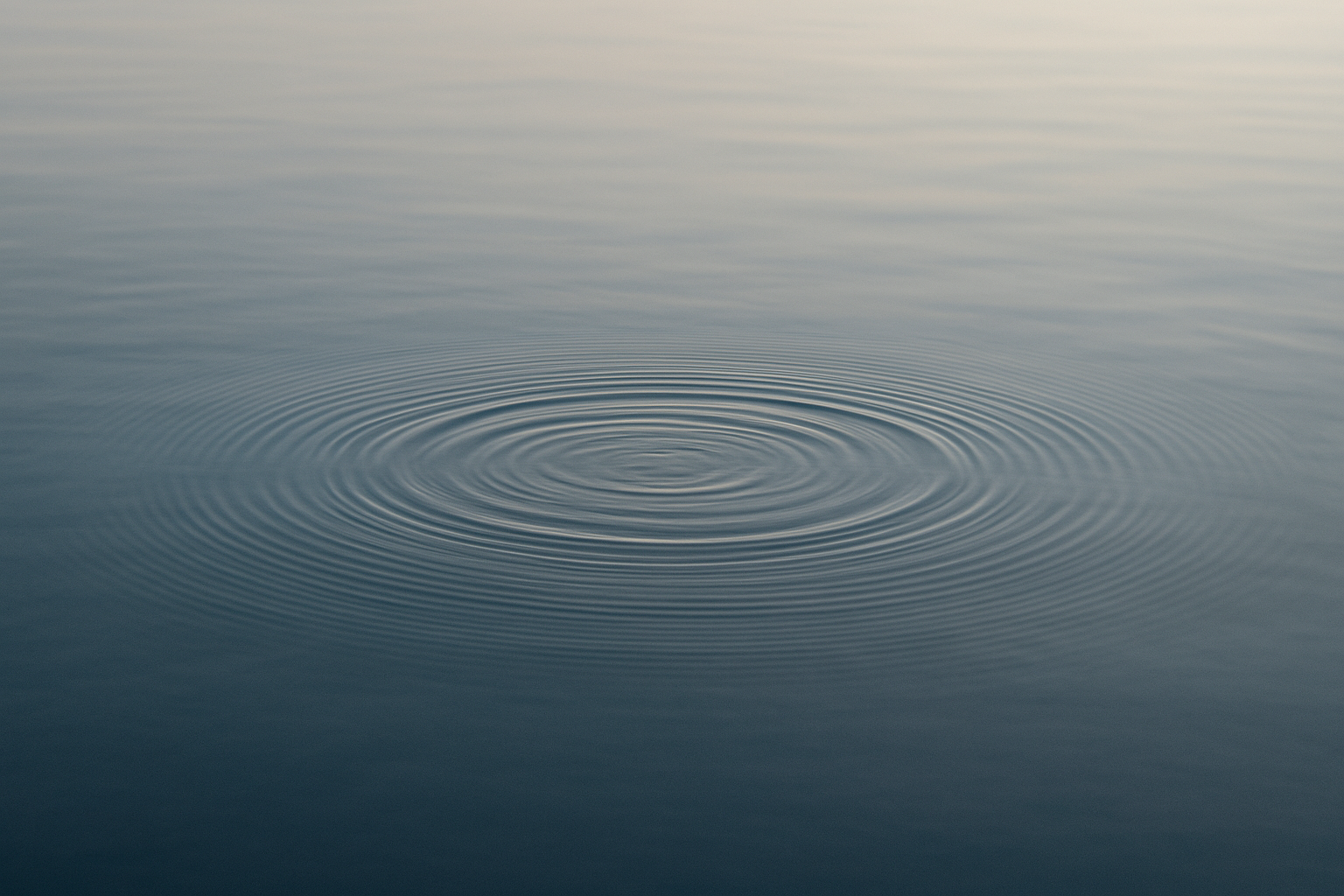 Sensitivity, Static, and the Quiet Art of Shielding