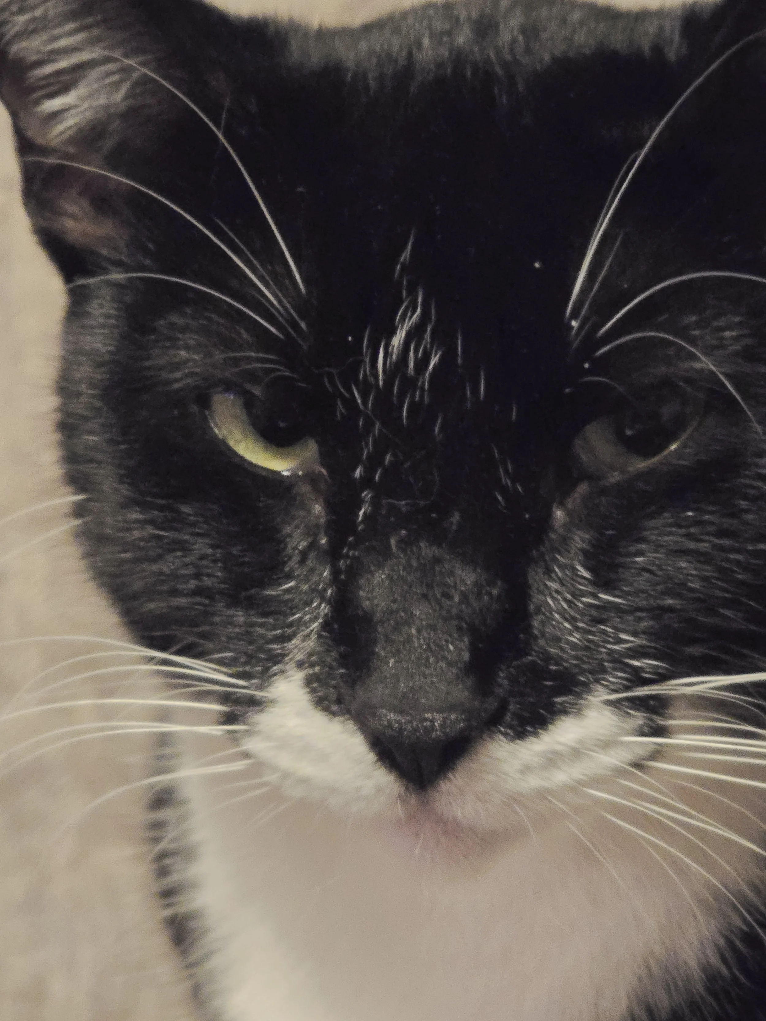 Betrayal #47 — The Bagel Bites Gender Plot Twist