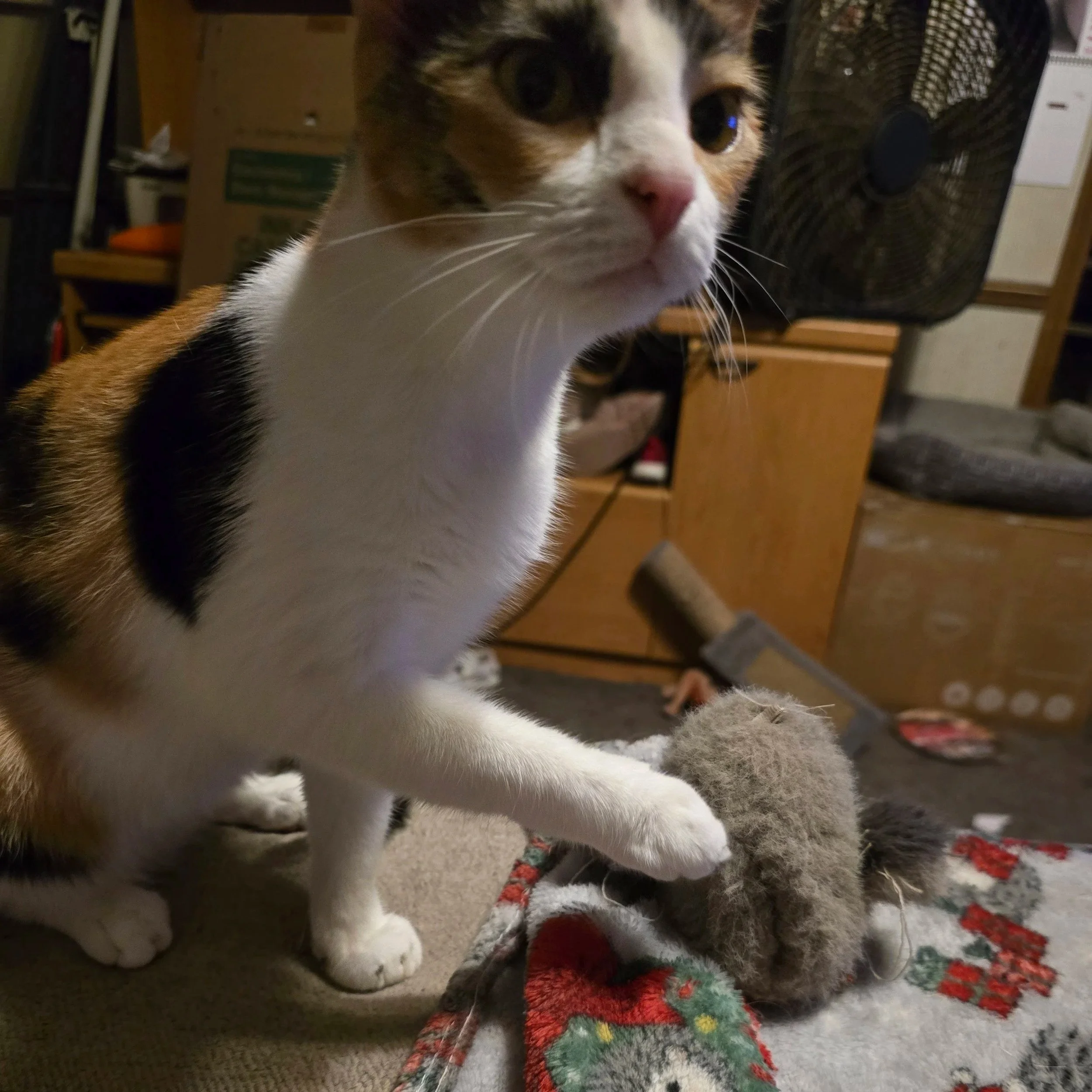 Betrayal #20 -The Protection Scandal