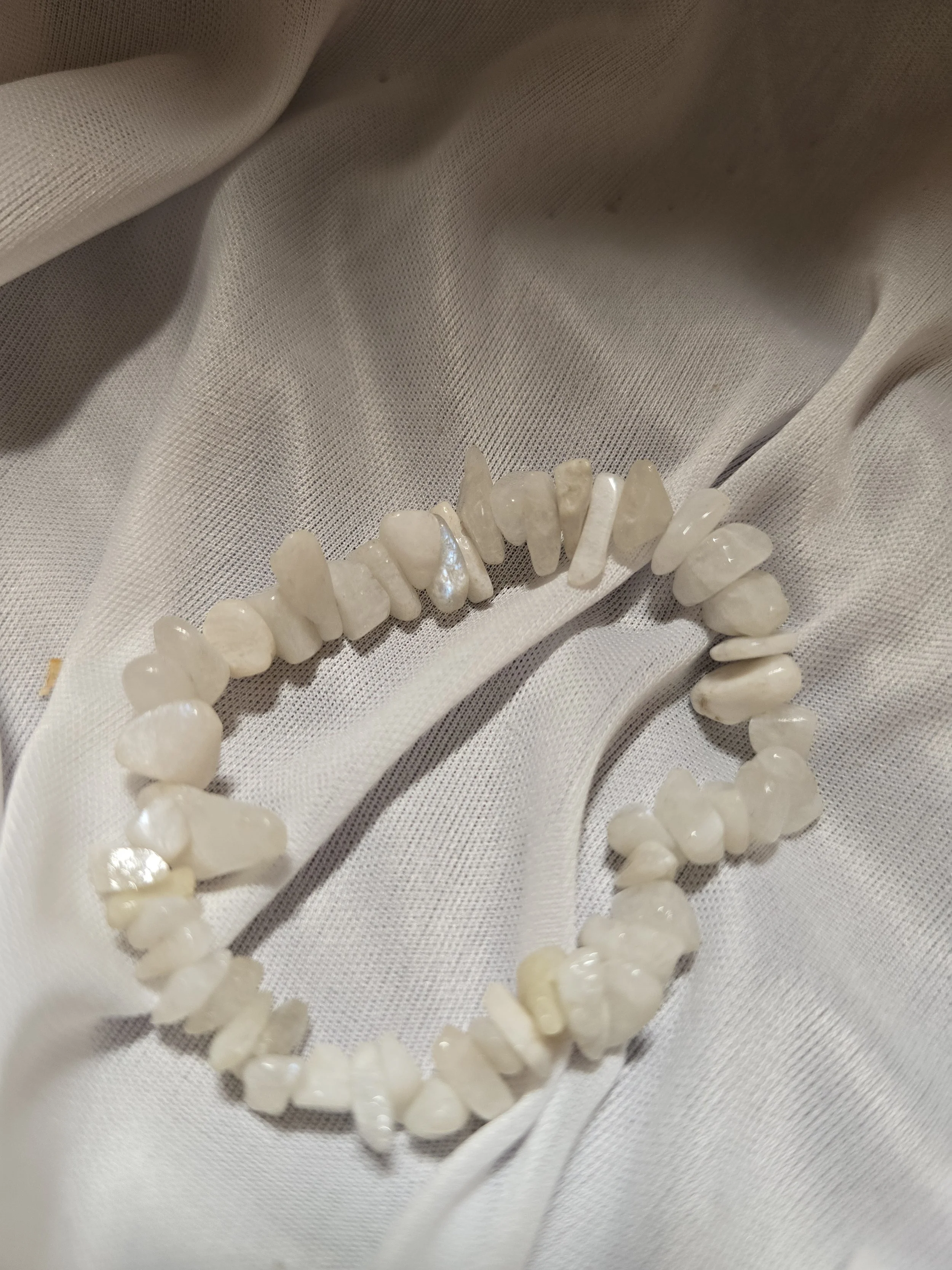 Whispers on Moonbeams