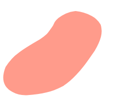 A cartoon illustration of a pinkish, bean-shaped object with no additional details.