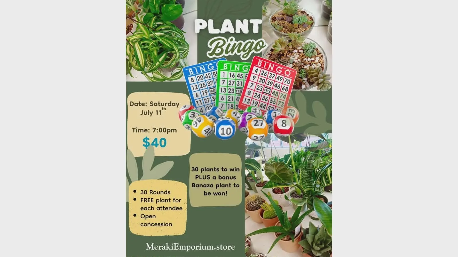 Plant Bingo