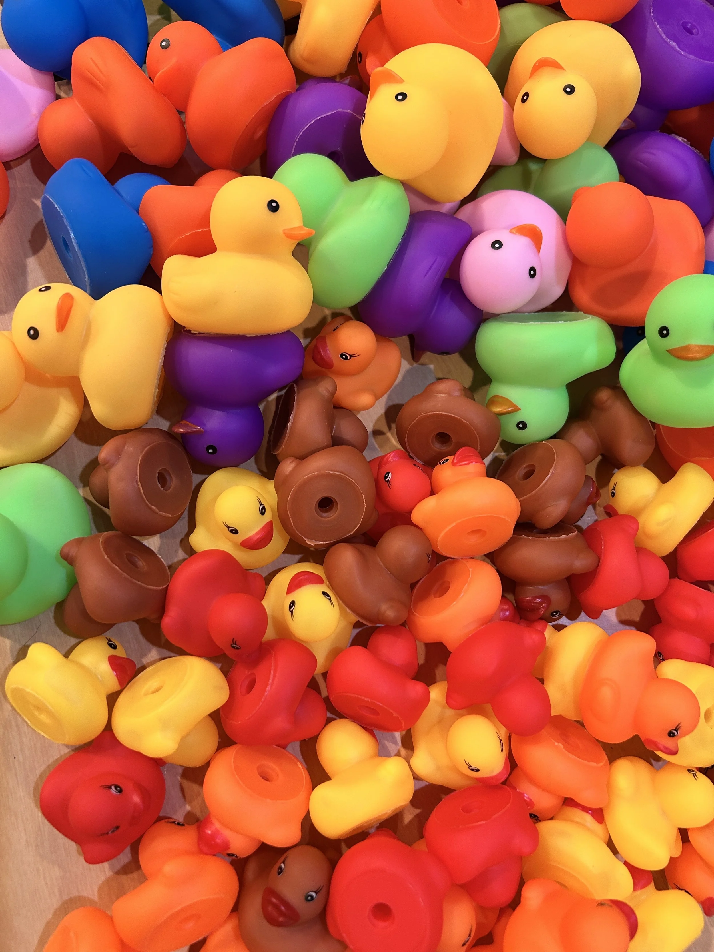 Adopt-a-Duckling Day!