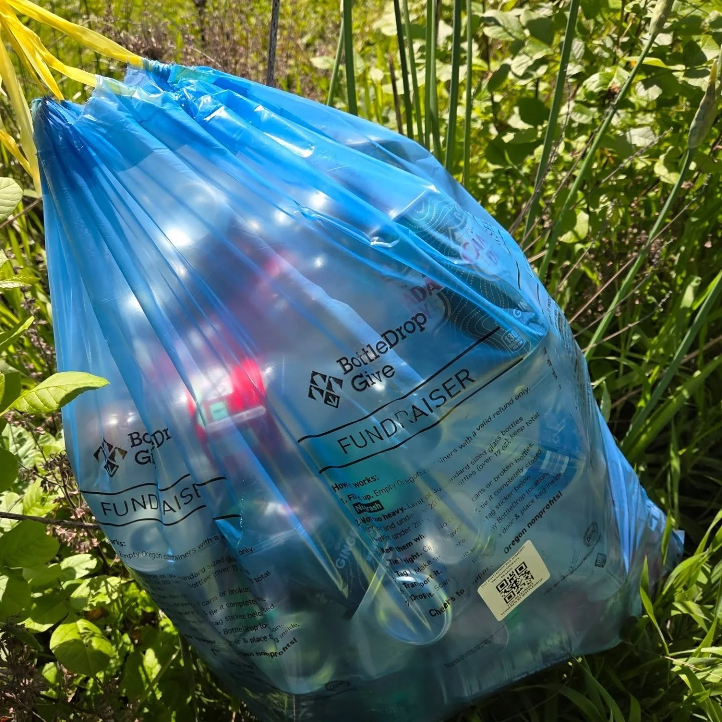 It's the last day of the BottleDrop Earth Week Give Fundraiser! Your redeemable cans and bottles earn 20% more for Adventure! through tonight, but we accept donations all year round!

Thank you to all of this year's BottleDrop donors!