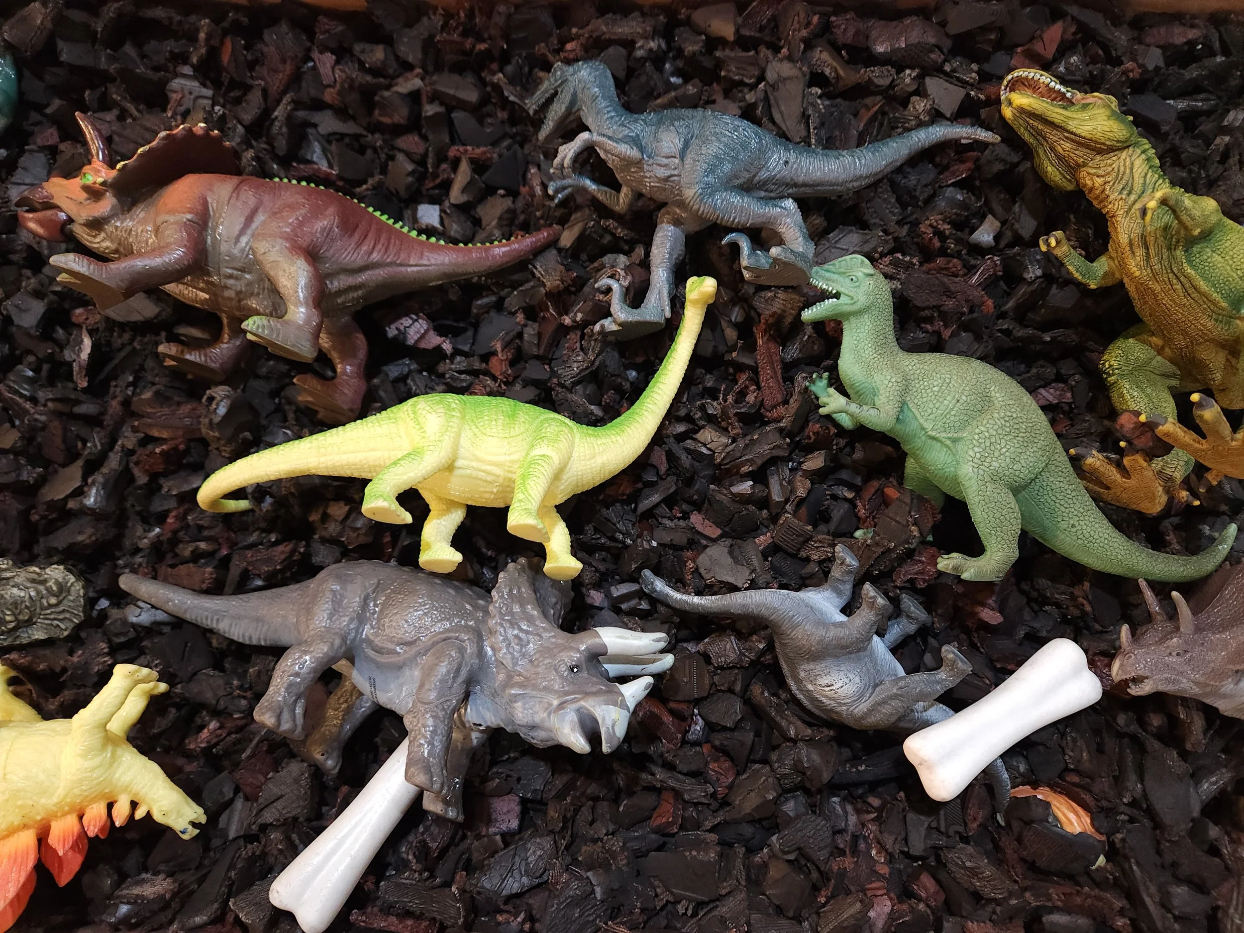 dinosaurs - photo booth.jpg