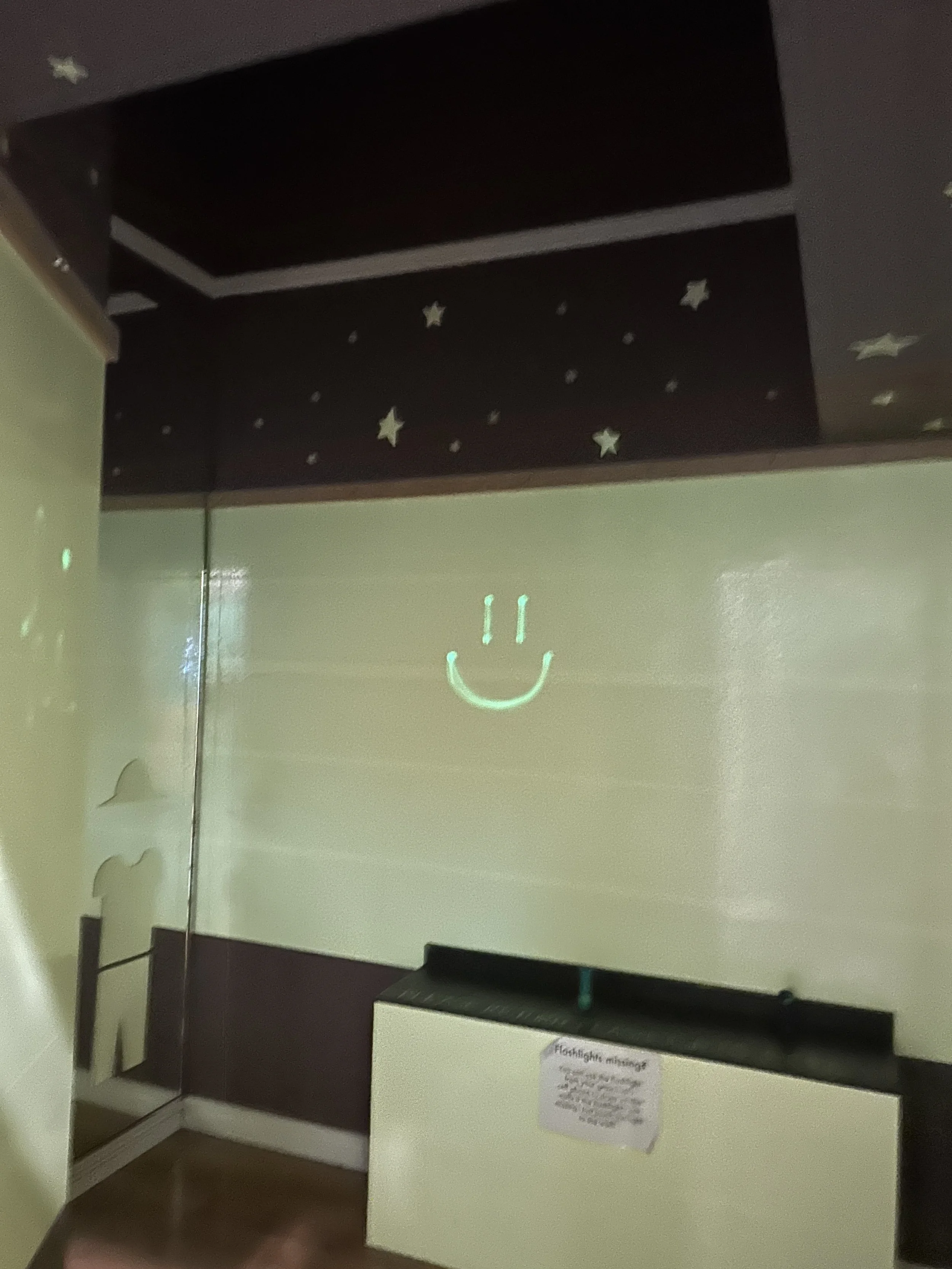 A dark room with glow-in-the-dark paper on the walls, and a shelf with two flashlights sitting on it. One wall is a floor-to-ceiling mirror. A smiley face made from the beam of a flashlight can be seen on one of the walls.