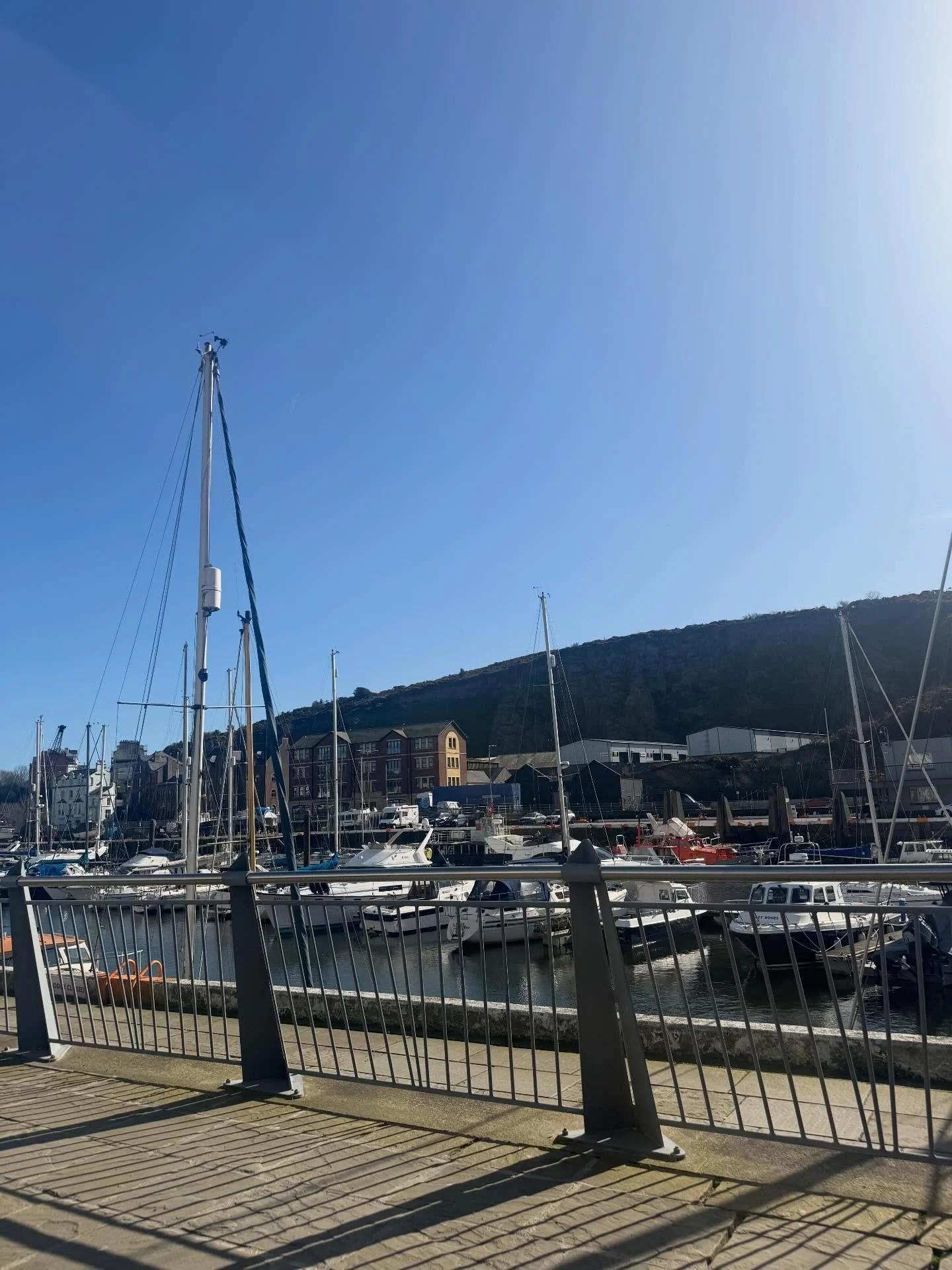 🖤✨

Reformer Pilates on a sunny Saturday morning hits different 🌸