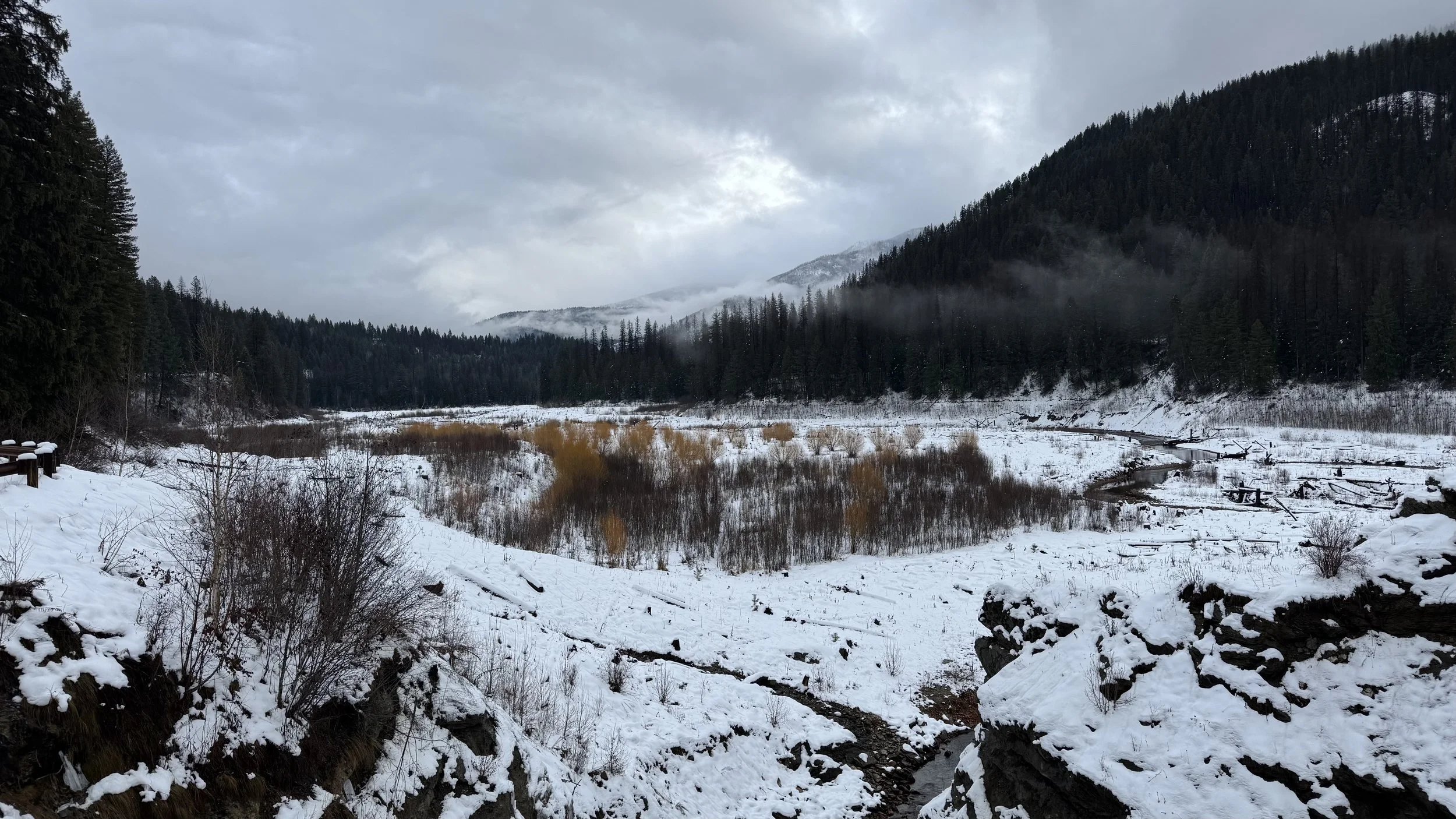 Who orchestrates our thuds?