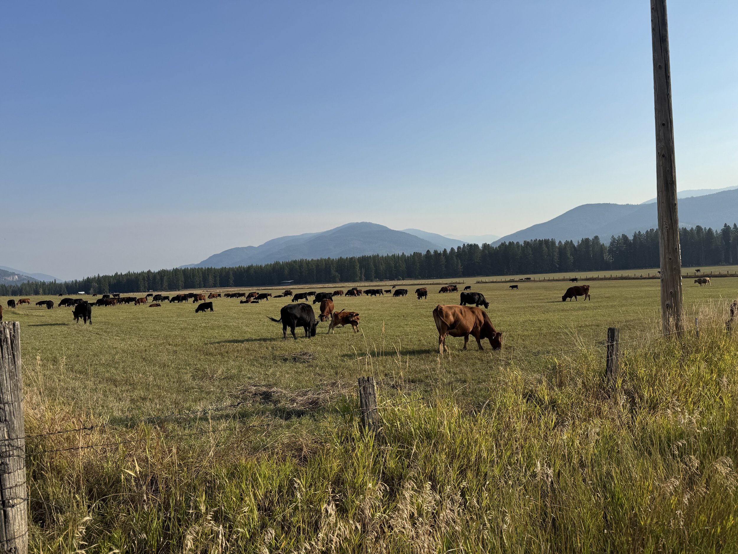 How do we forgive lost dreams?