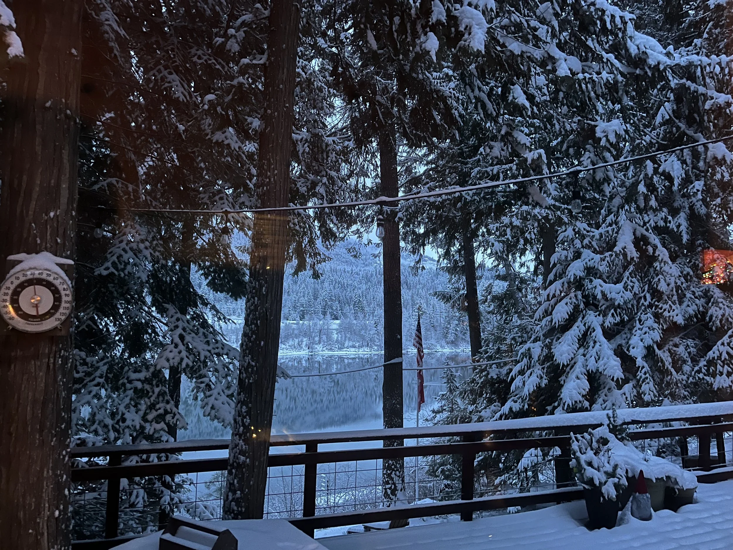 Tree Planted by the River