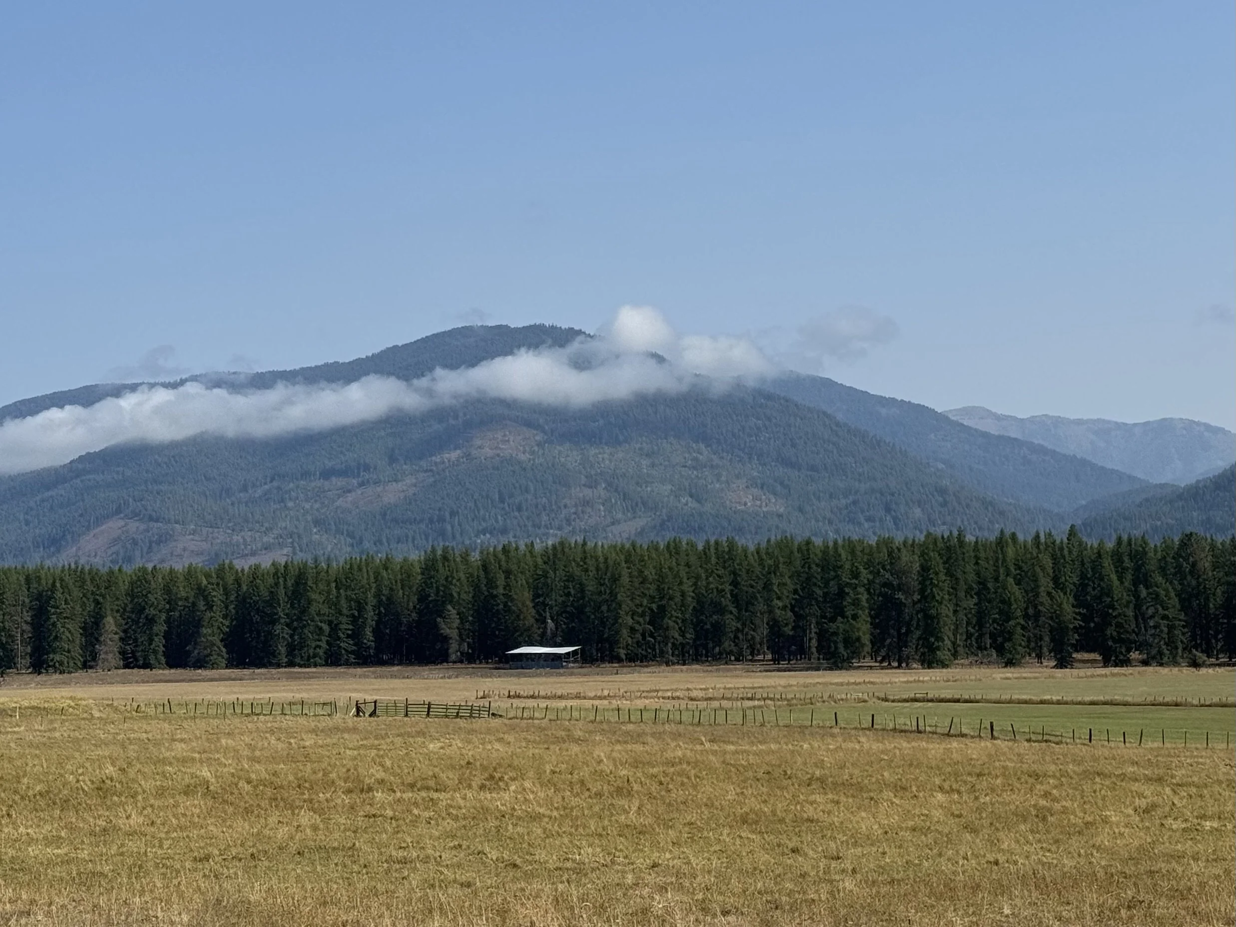 Harm is not harm if it does good