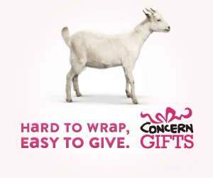 White goat standing next to pink text that reads 'Hard to wrap, easy to give. Concern Gift's'