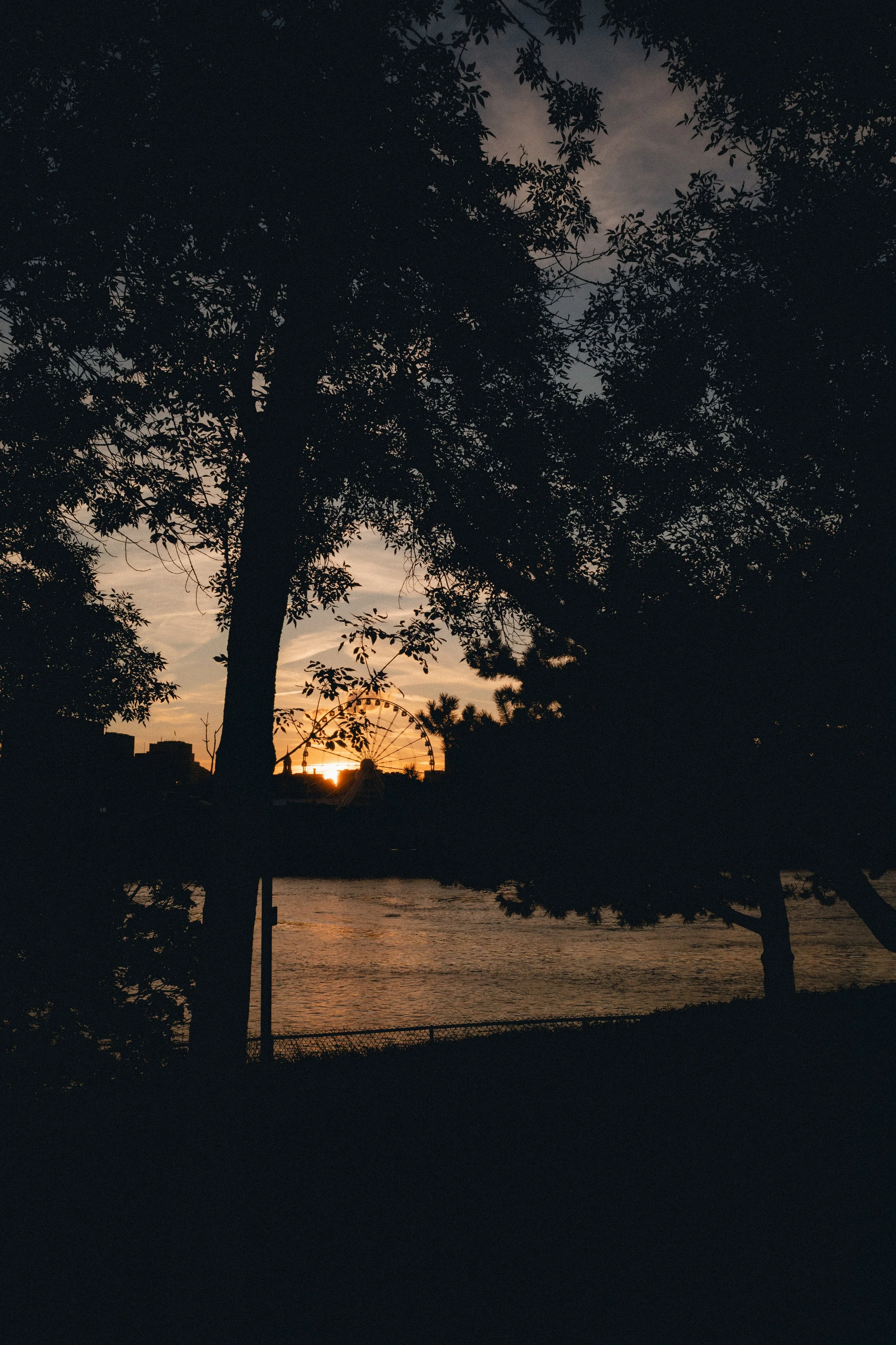 R0001941.JPG