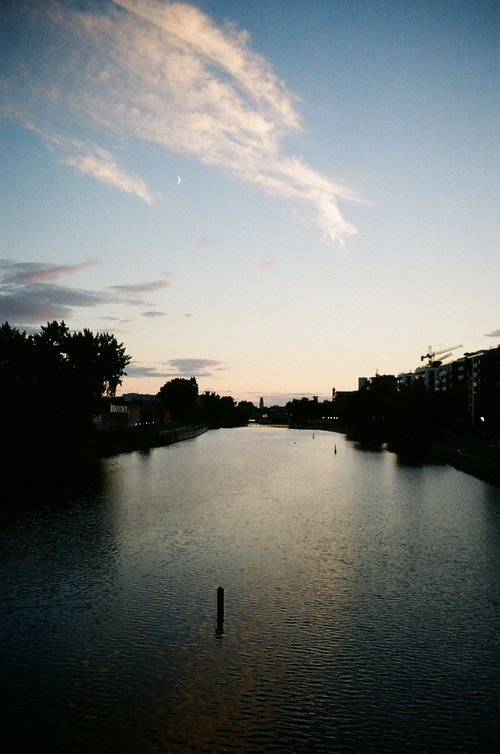 IMG_3421.jpg