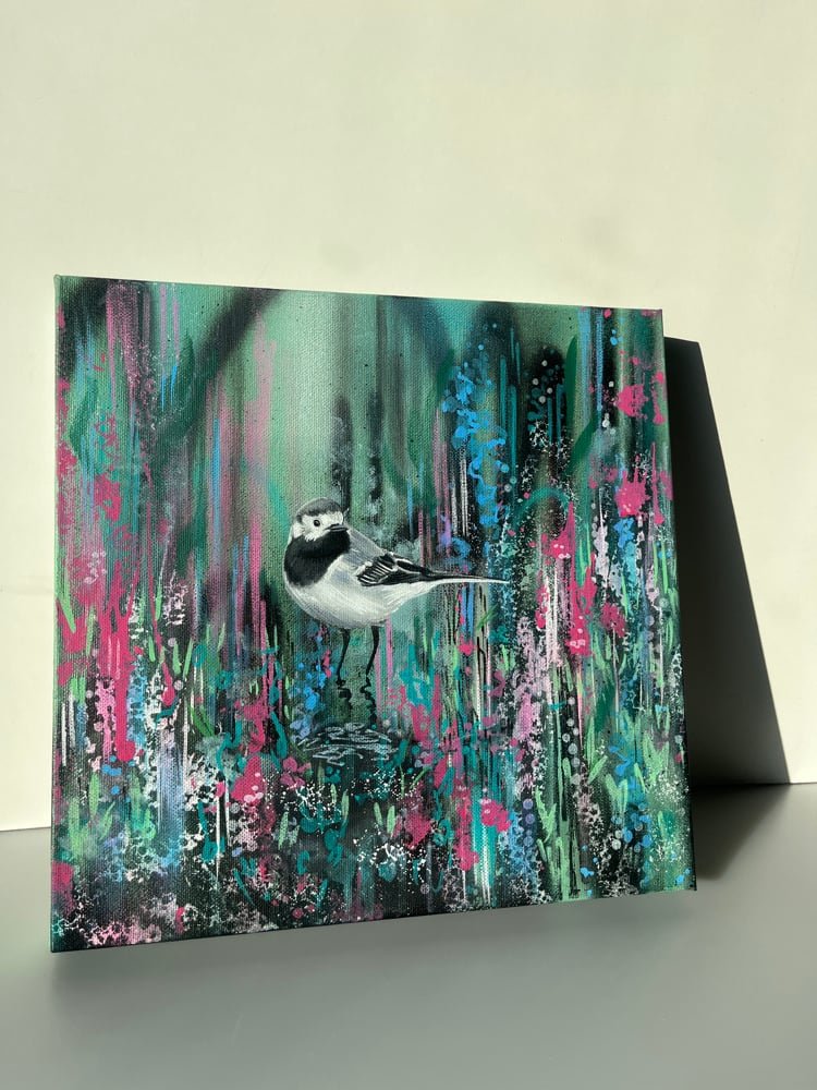pied-wagtail.jpg