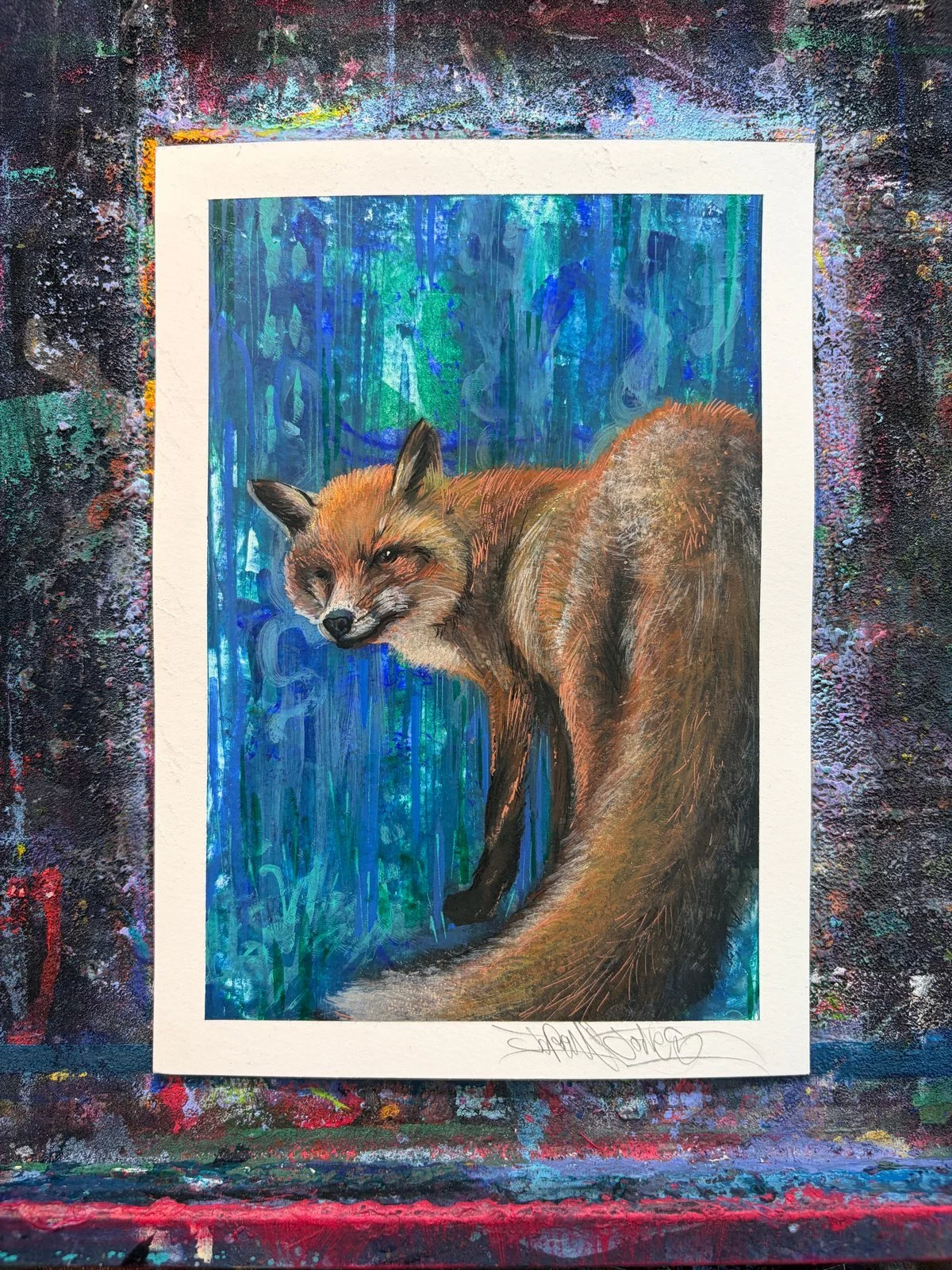 one-eyed-fox-study.jpg