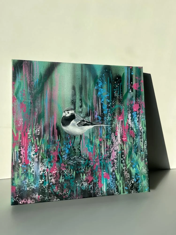 pied-wagtail.jpg